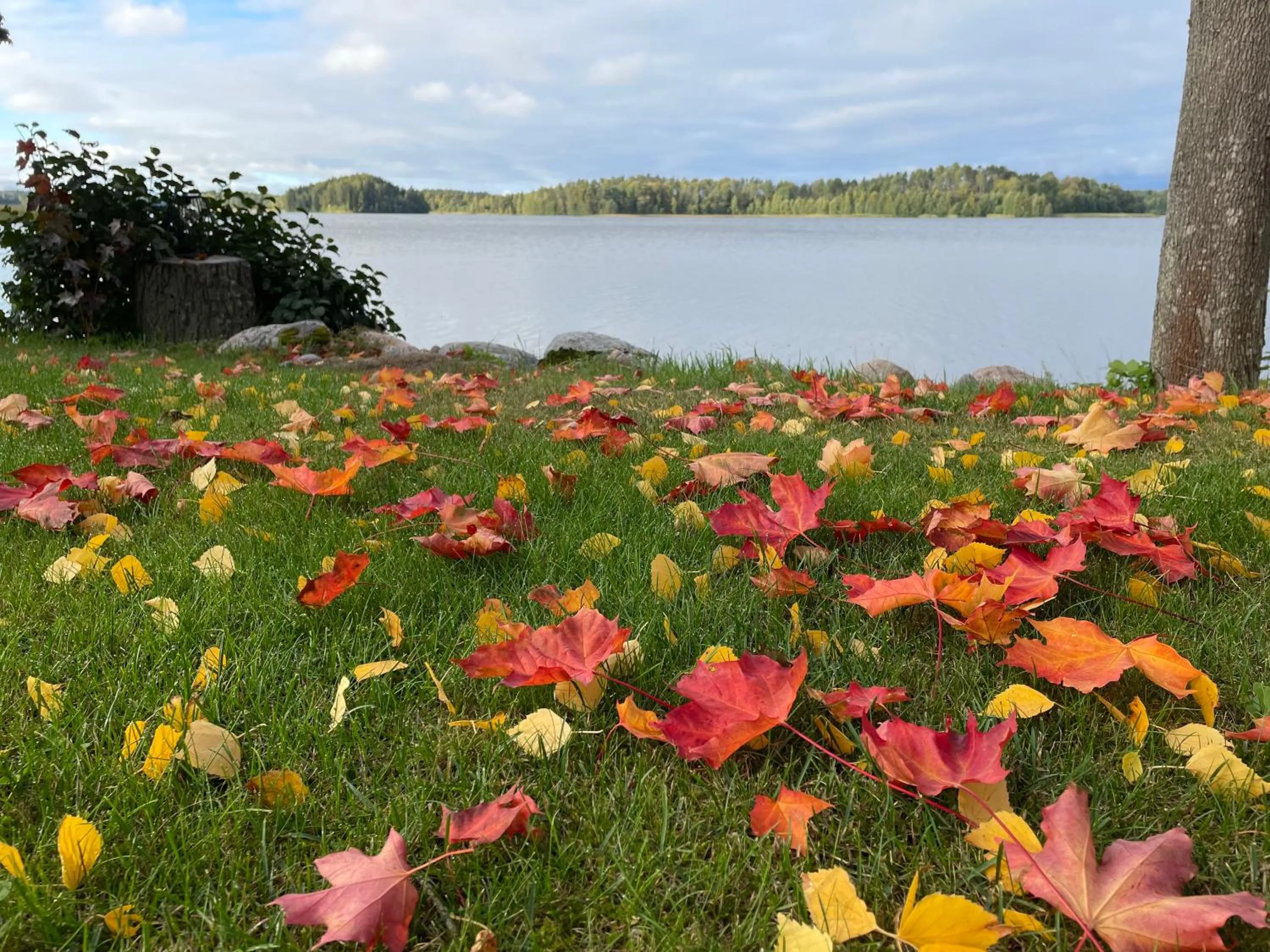 Labbnäs Semesterhem, Radhuset