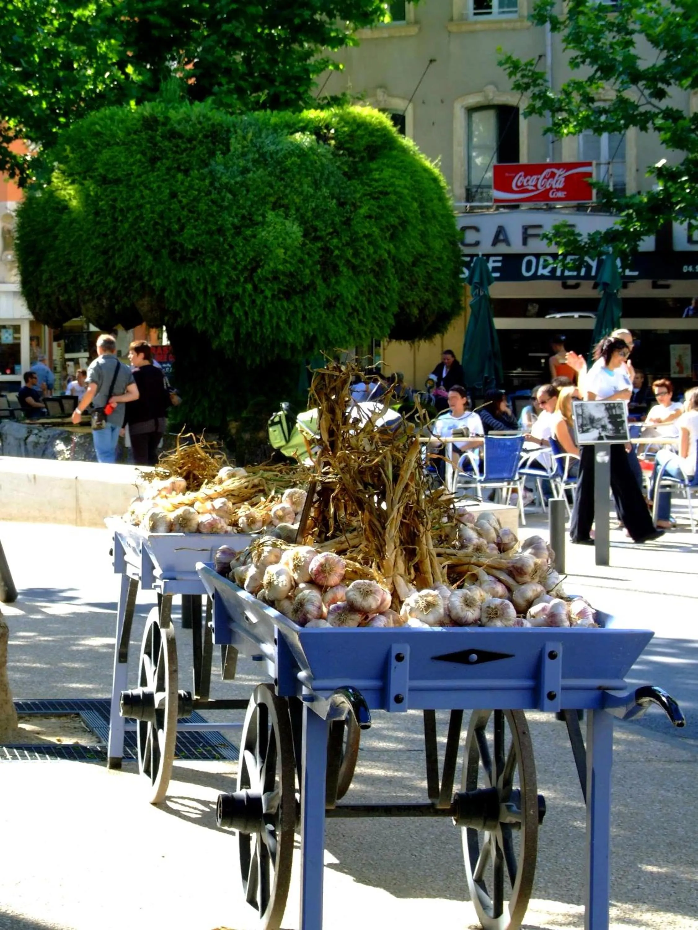 Restaurant/places to eat in Logis Hotel du Midi