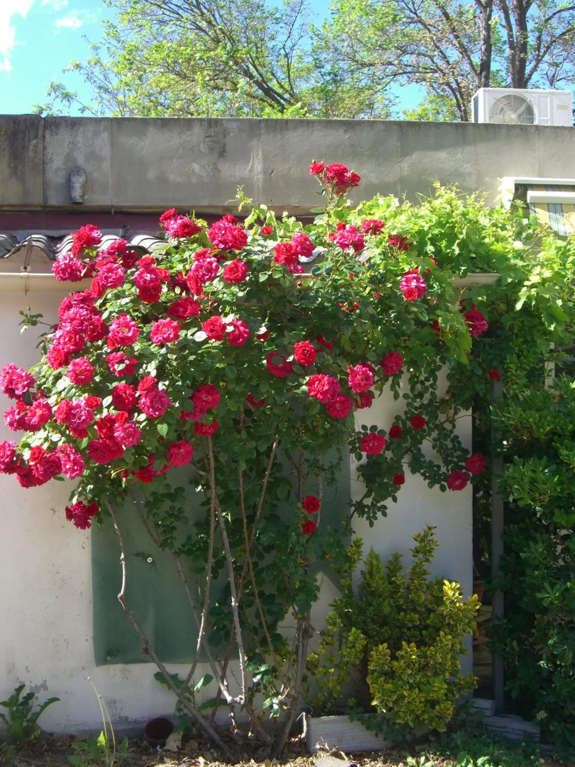 Other in Logis Hotel du Midi