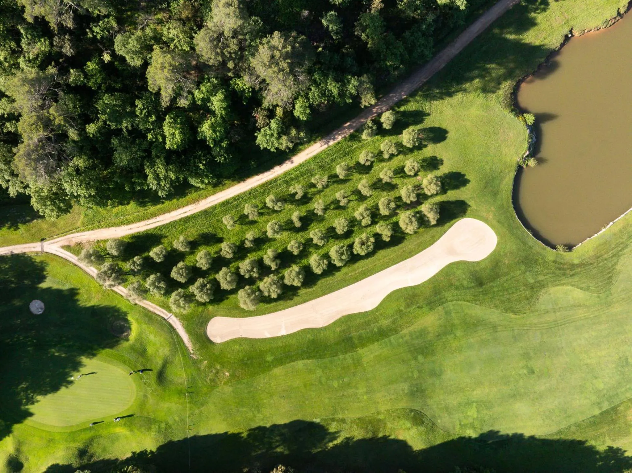 Golfcourse in Mercure Brignoles Golf de Barbaroux & Spa