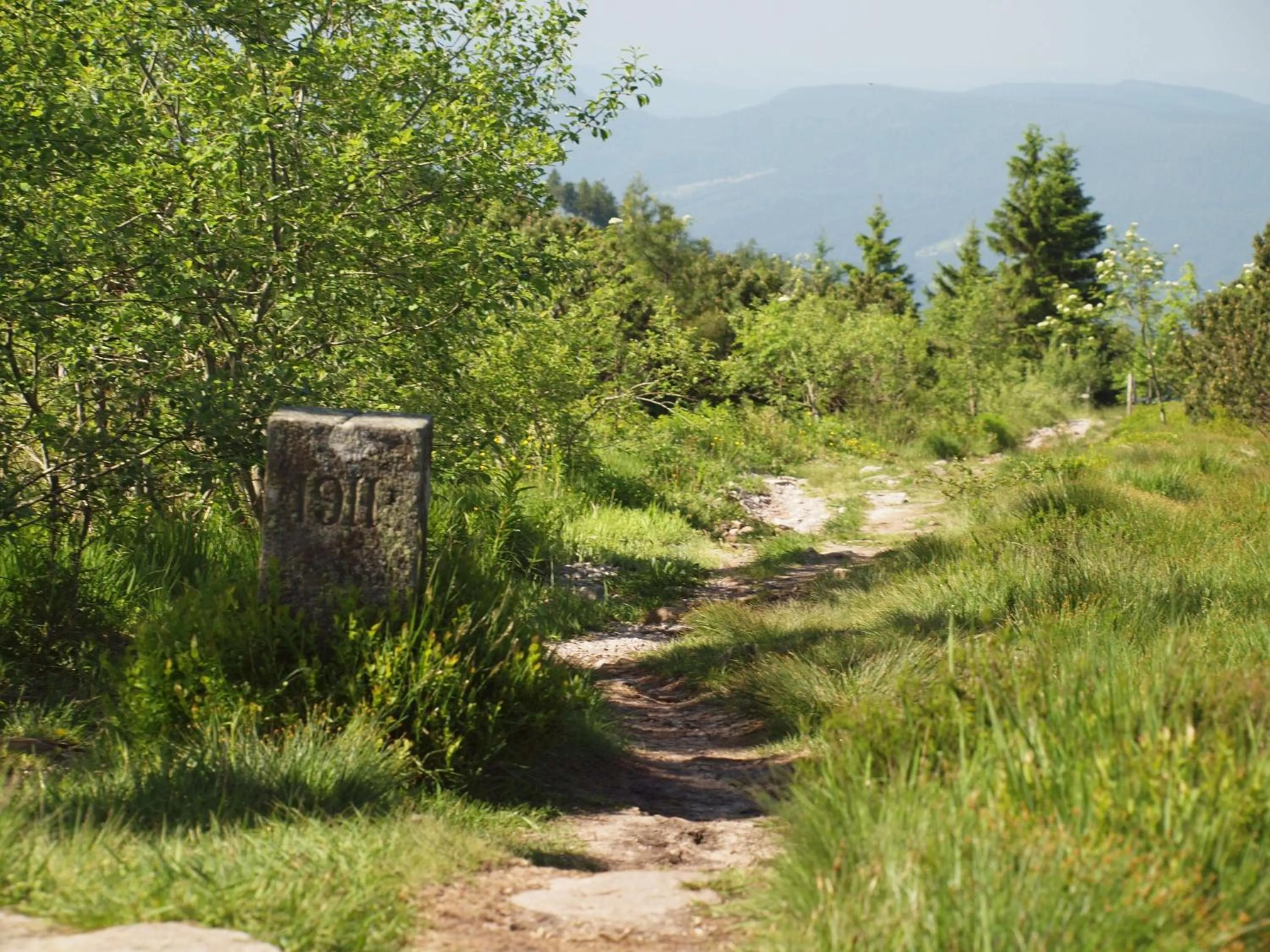 Nearby landmark in Wellness-& Nationalpark Hotel Schliffkopf, BWSC