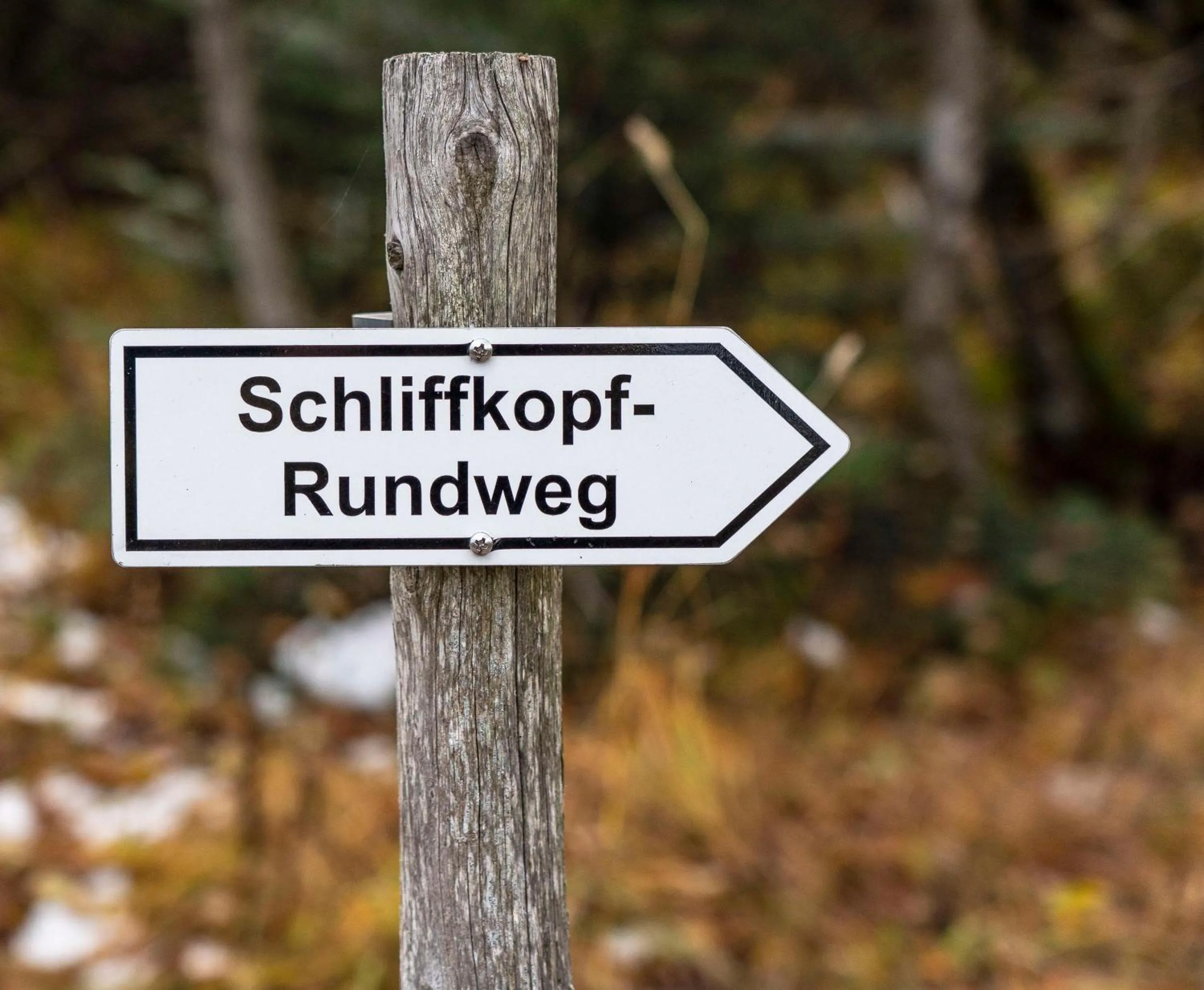 Nearby landmark in Wellness-& Nationalpark Hotel Schliffkopf, BWSC