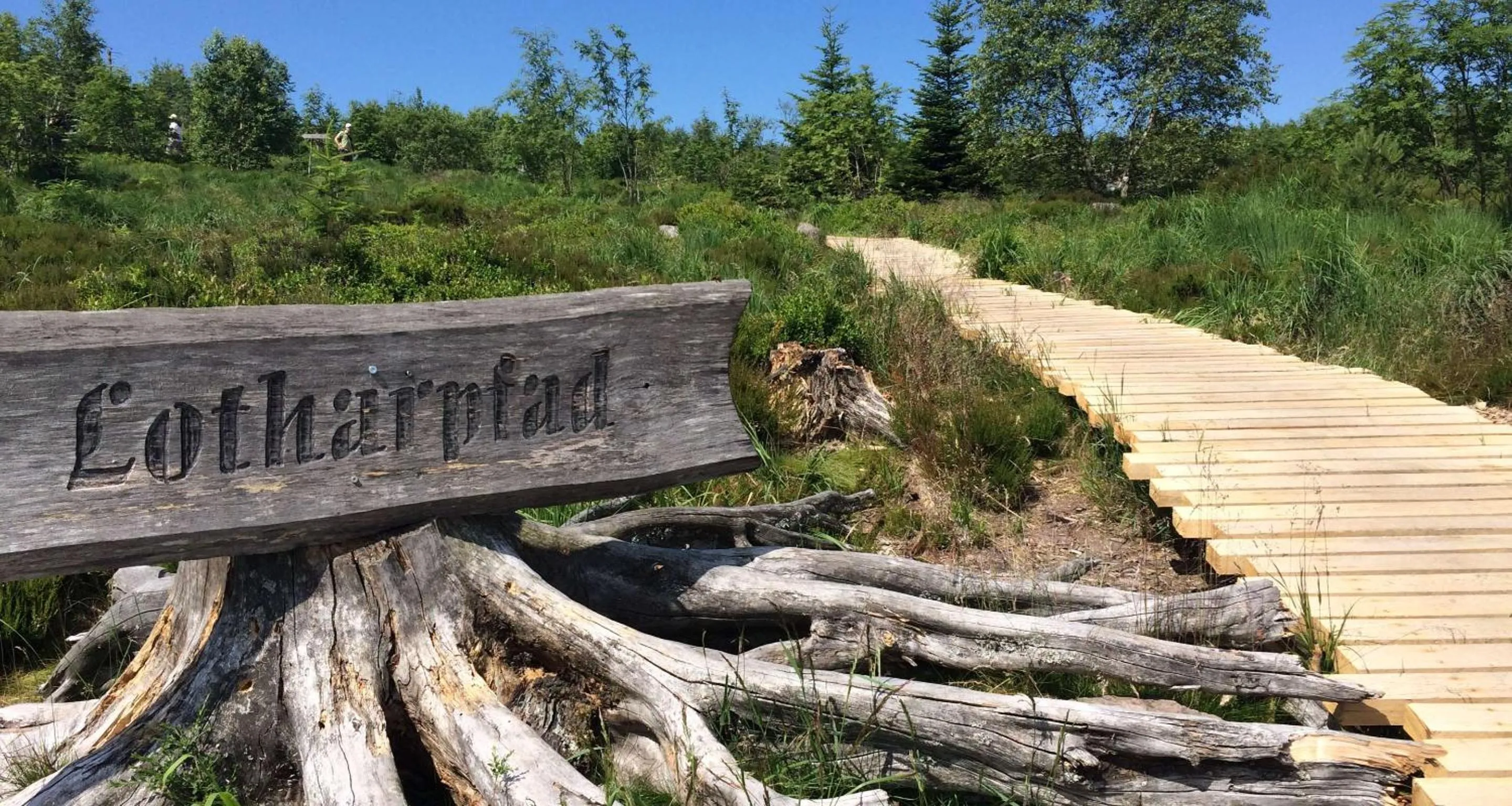 Nearby landmark in Wellness-& Nationalpark Hotel Schliffkopf, BWSC