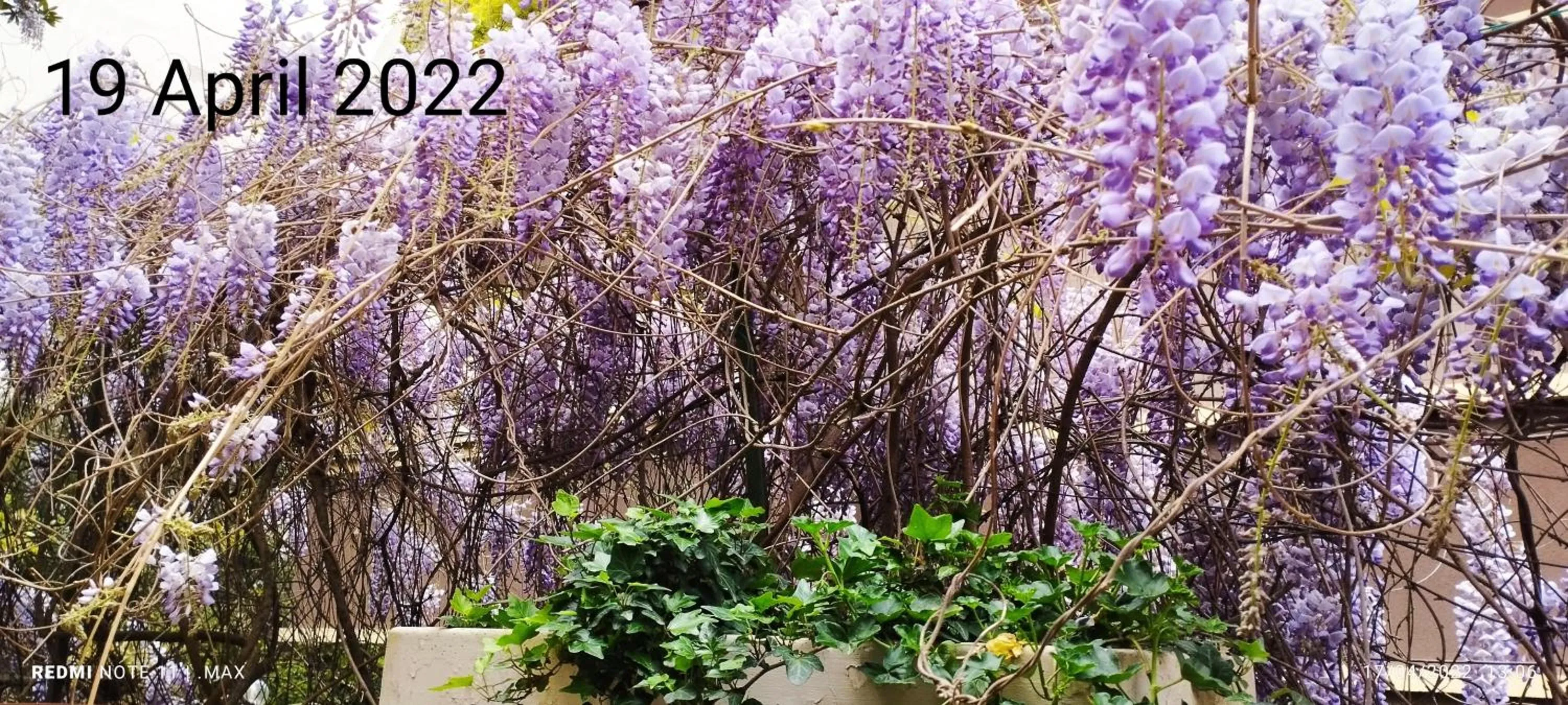 GARDEN HOUSE - Luxury Guest House - Self check-in only