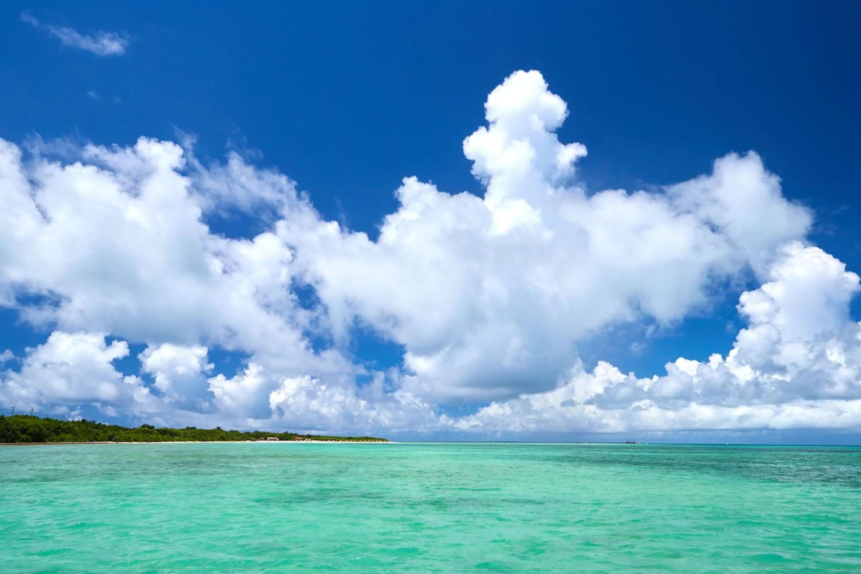 Nearby landmark in Vessel Hotel Ishigakijima