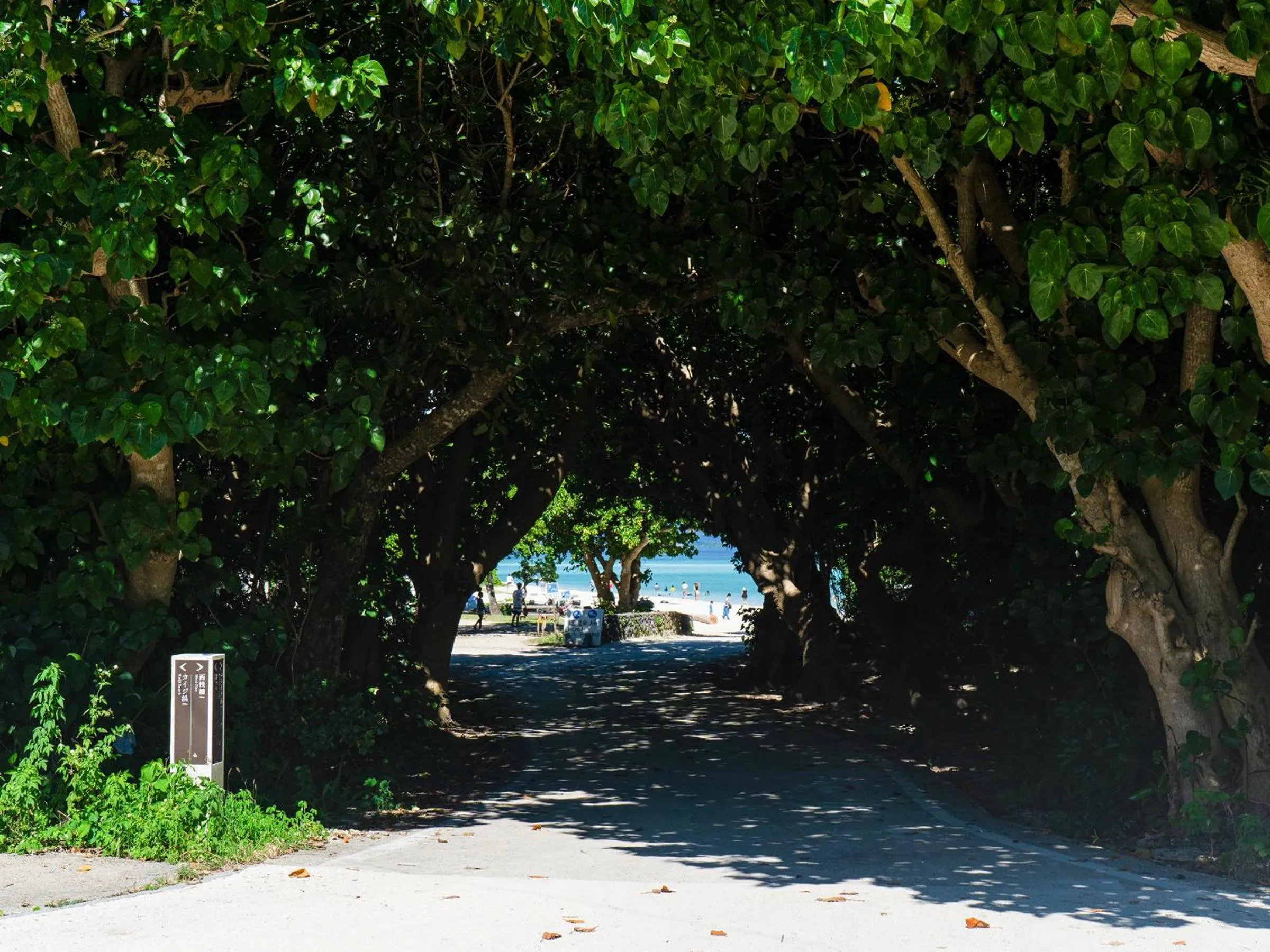 Nearby landmark in Vessel Hotel Ishigakijima