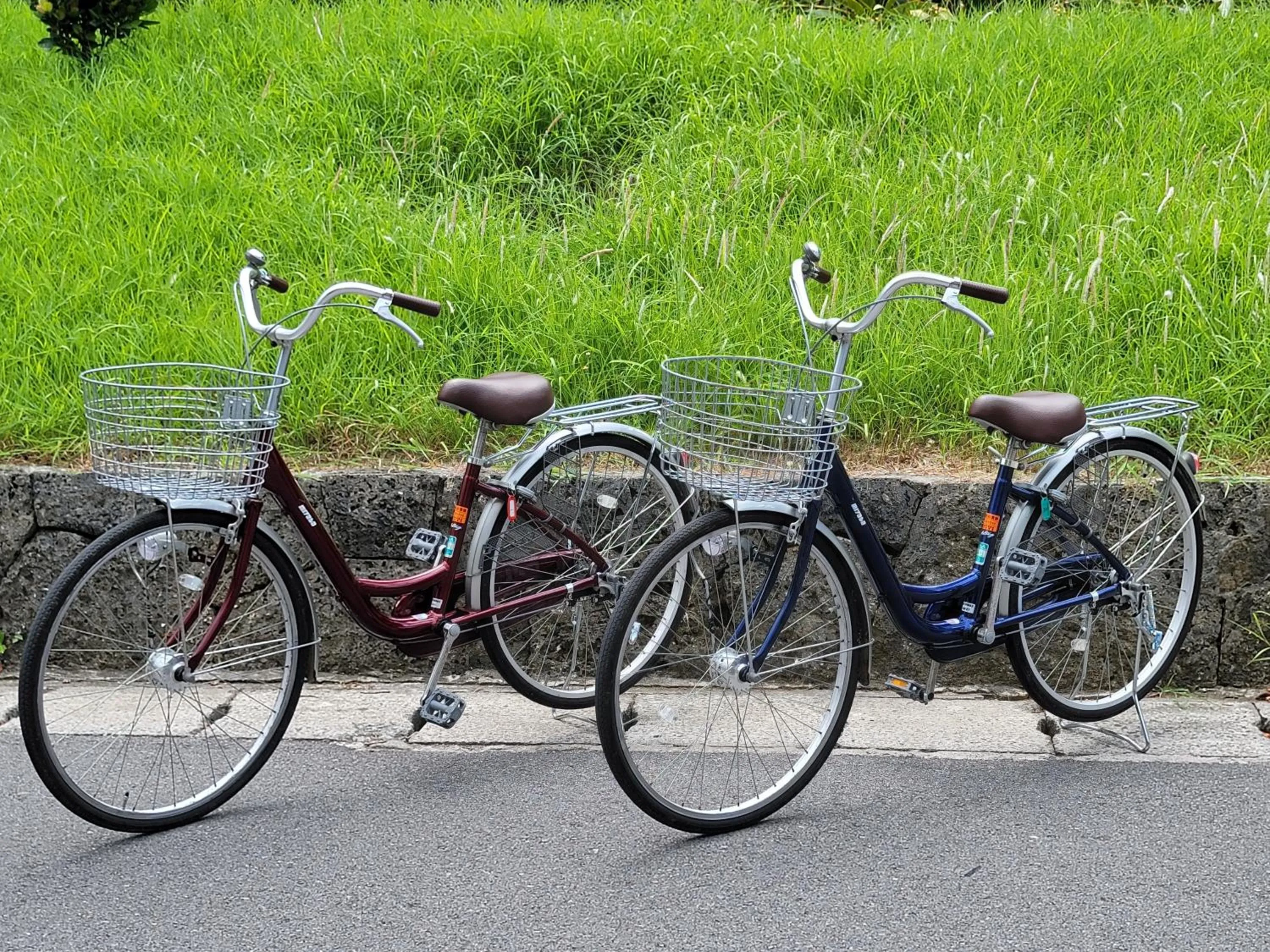 Cycling in Vessel Hotel Ishigakijima