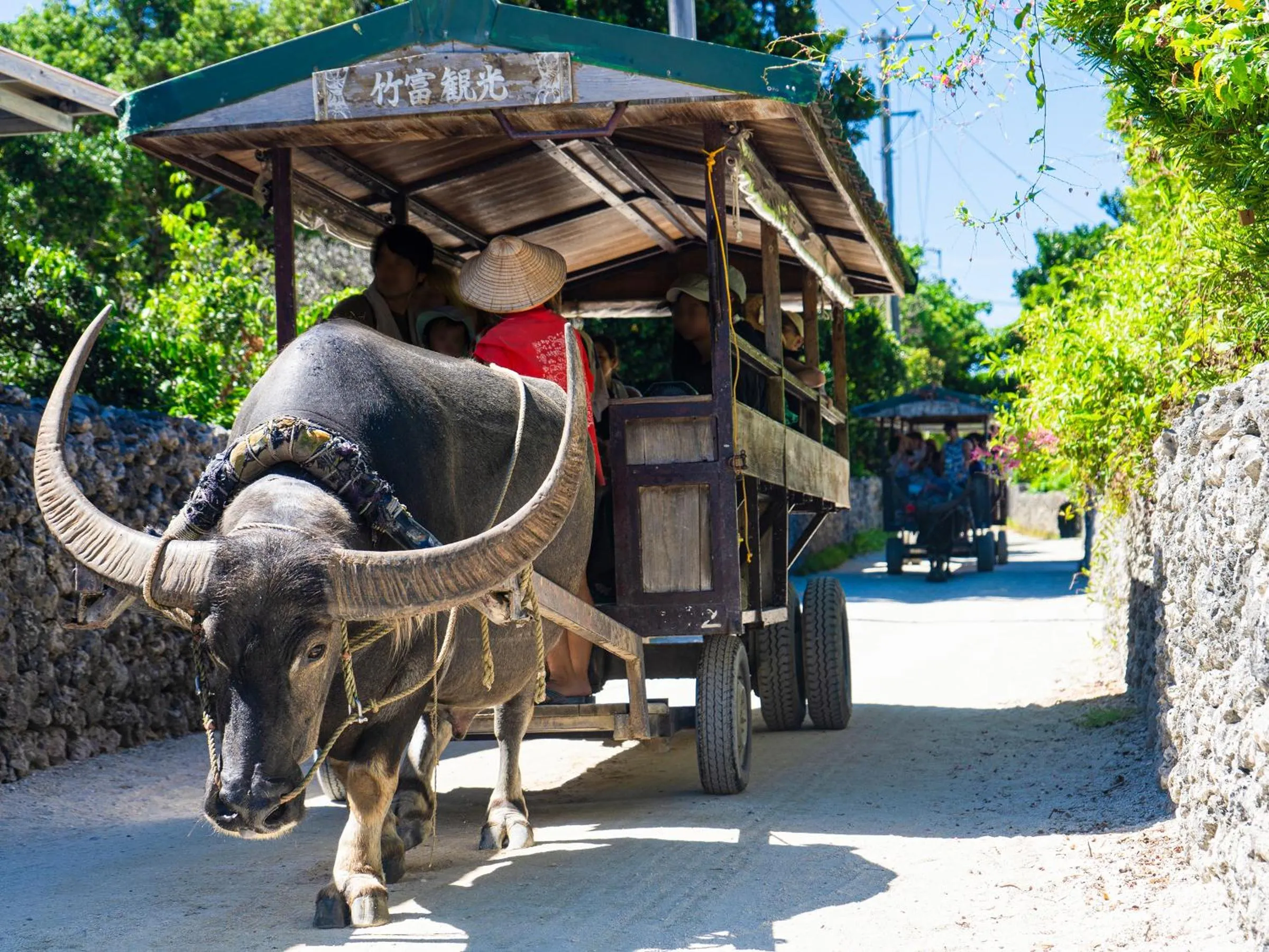 Nearby landmark in Vessel Hotel Ishigakijima