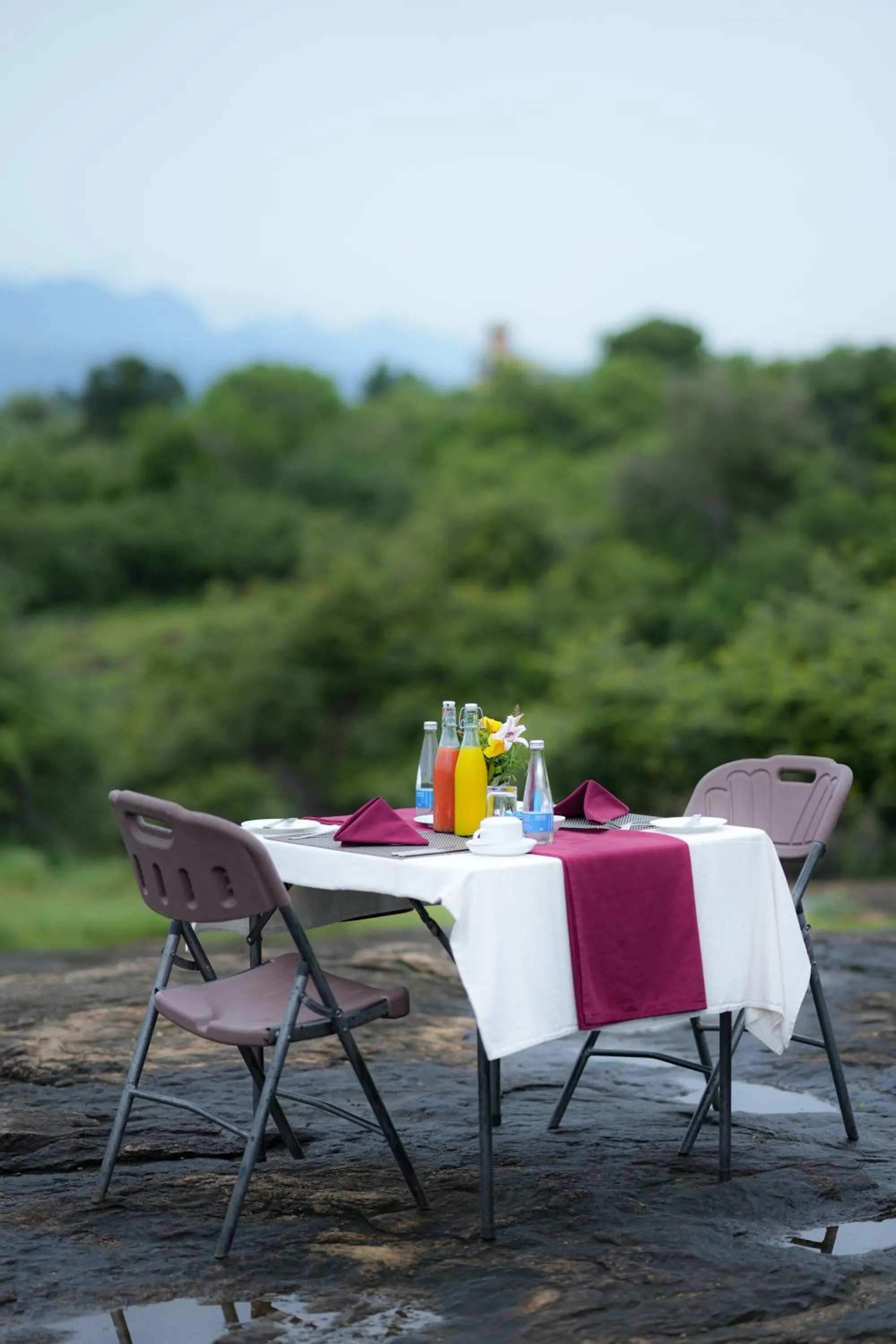 Activities in Athgira River Camping - Udawalawe