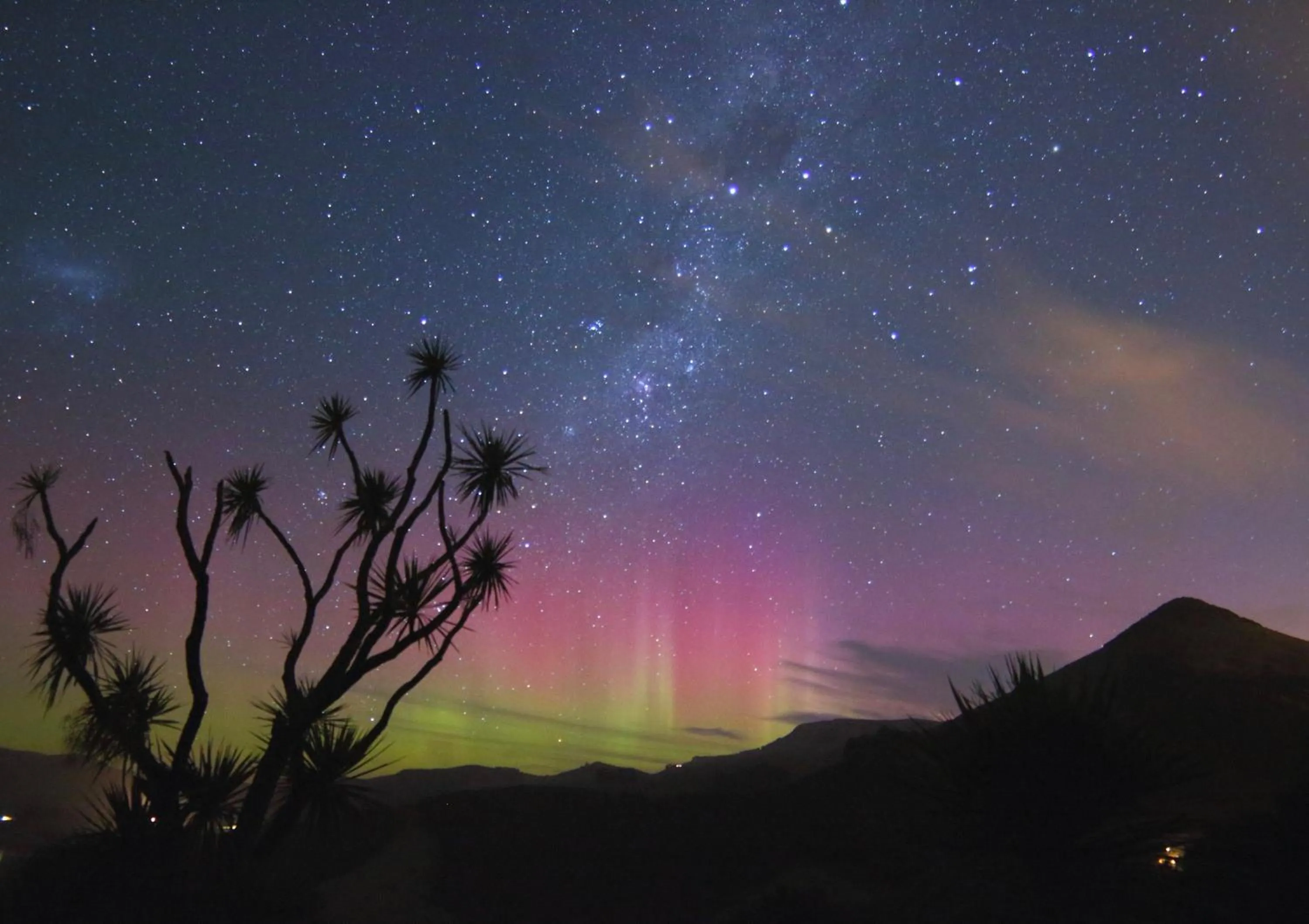 Hereweka Garden Retreat