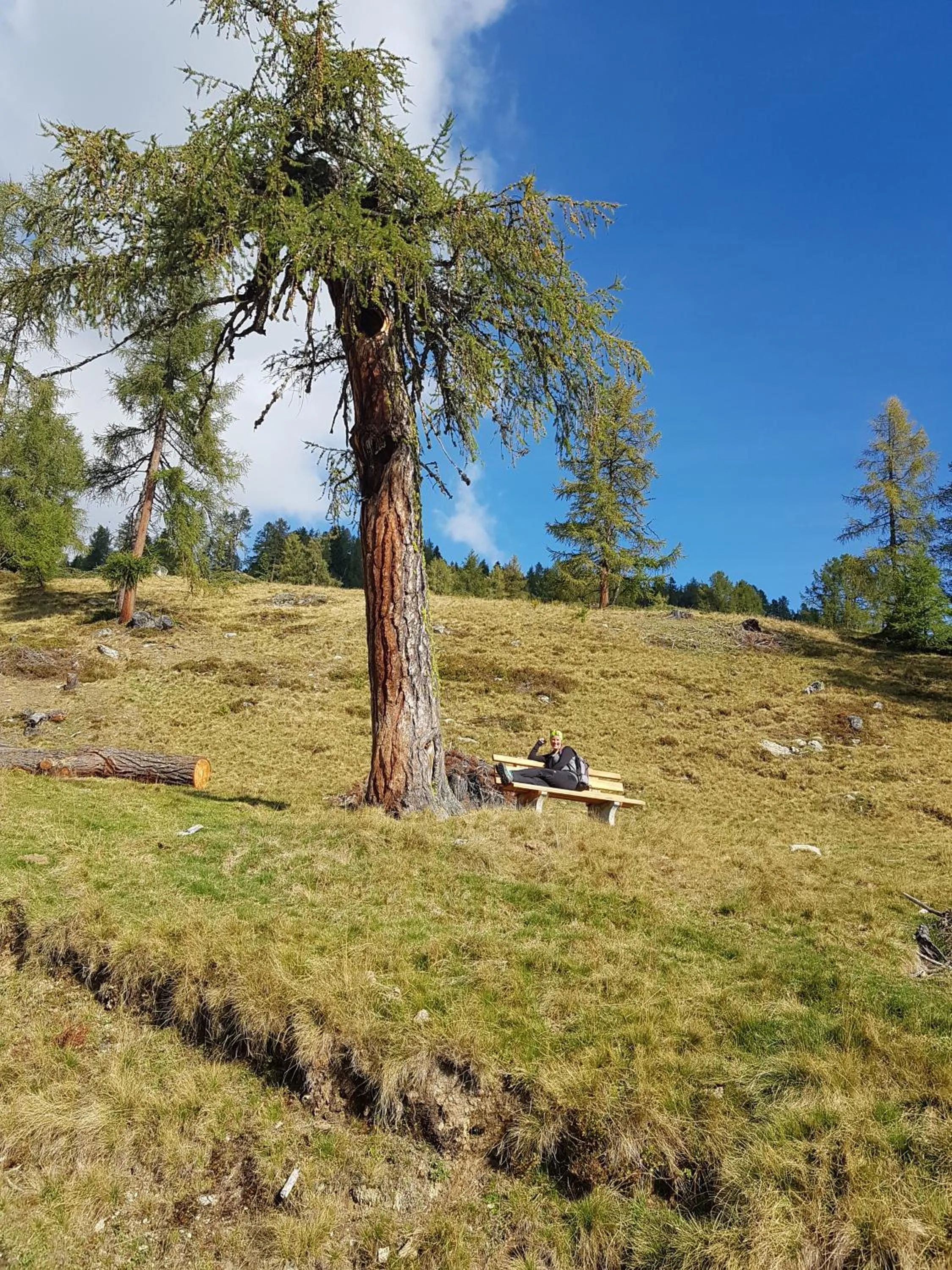 Natural landscape in DAVID SUITEN