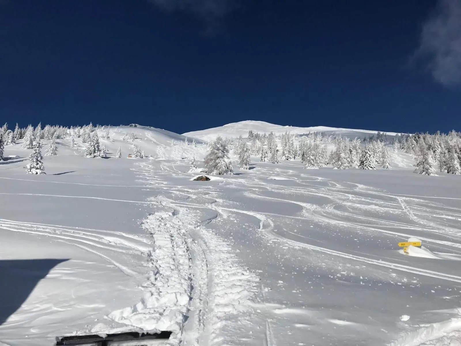 Skiing in DAVID SUITEN