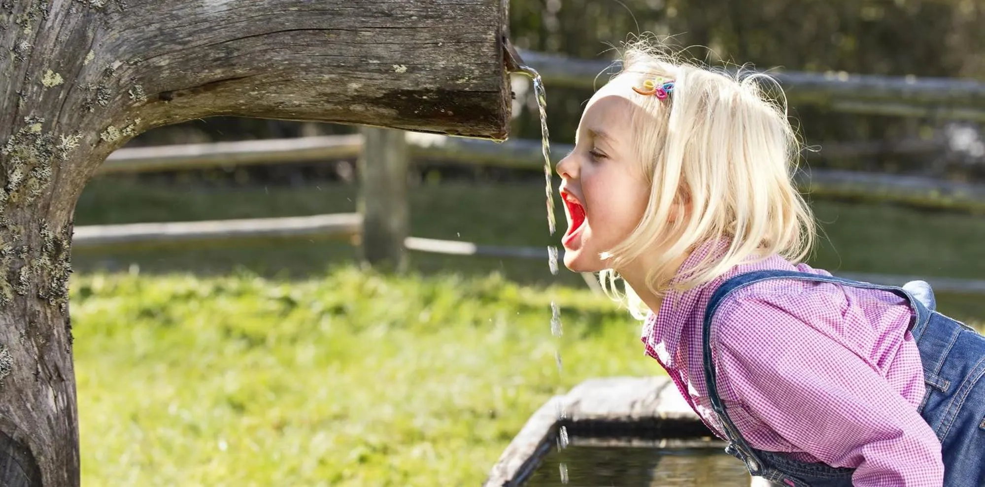 Other in DAVID SUITEN