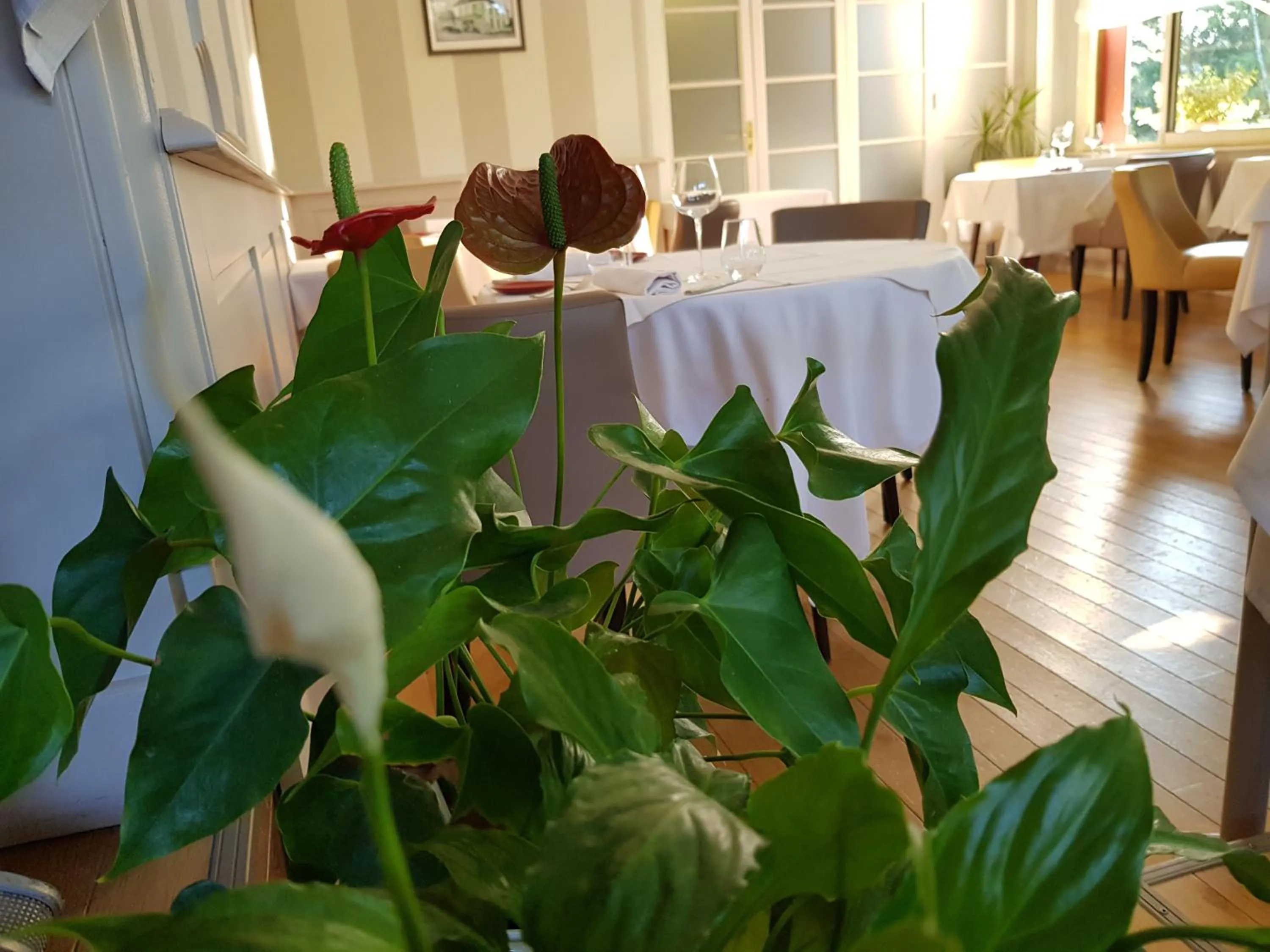 Hostellerie d'Héloïse Logis