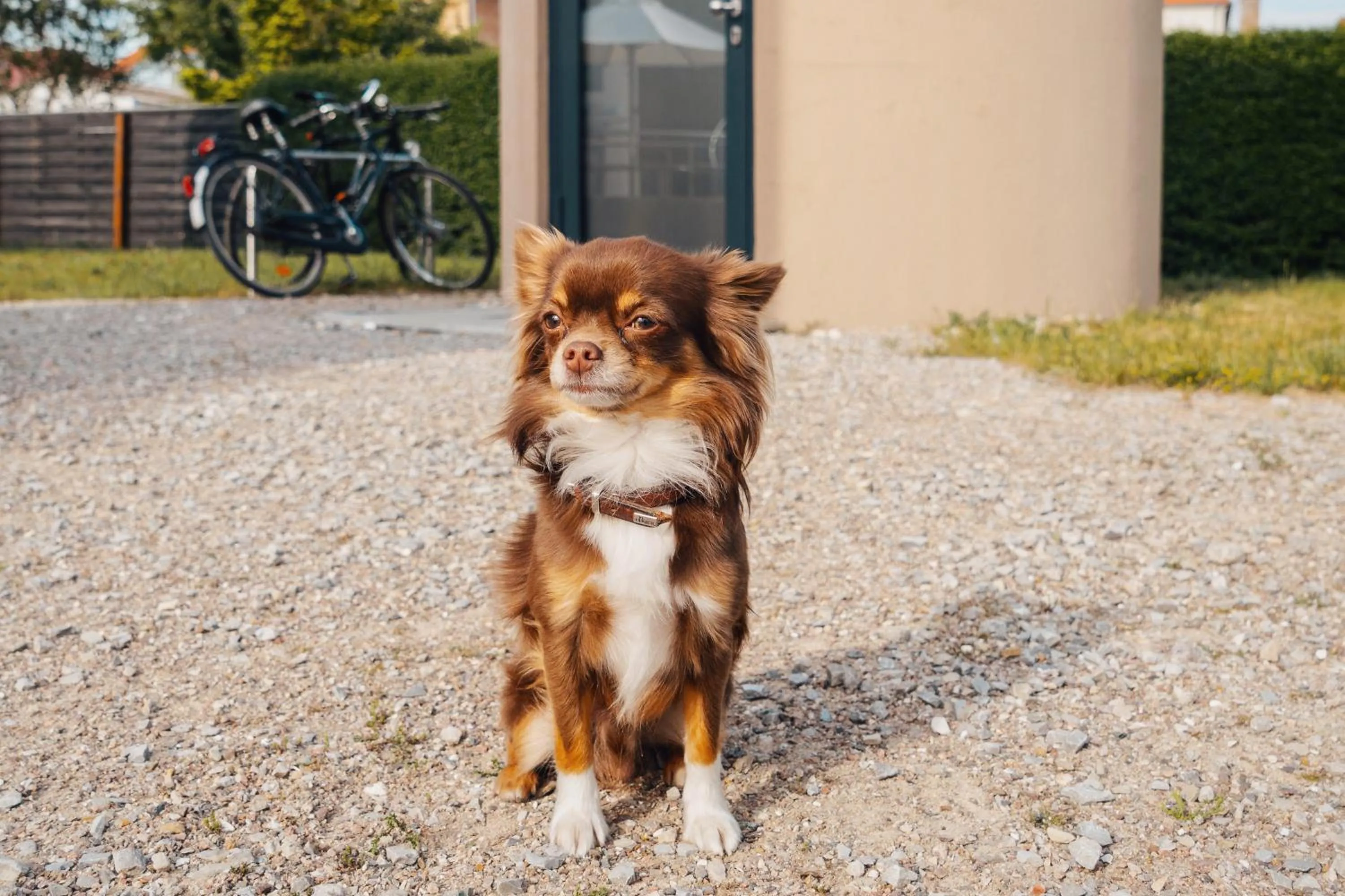 pet friendly in slube am Yachthafen Greifswald