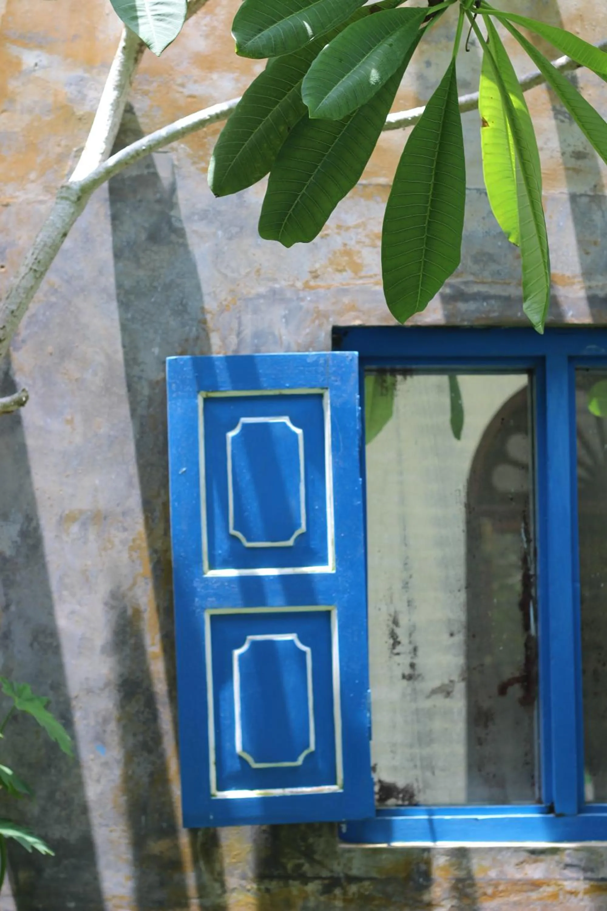 Garden in Fort Bliss