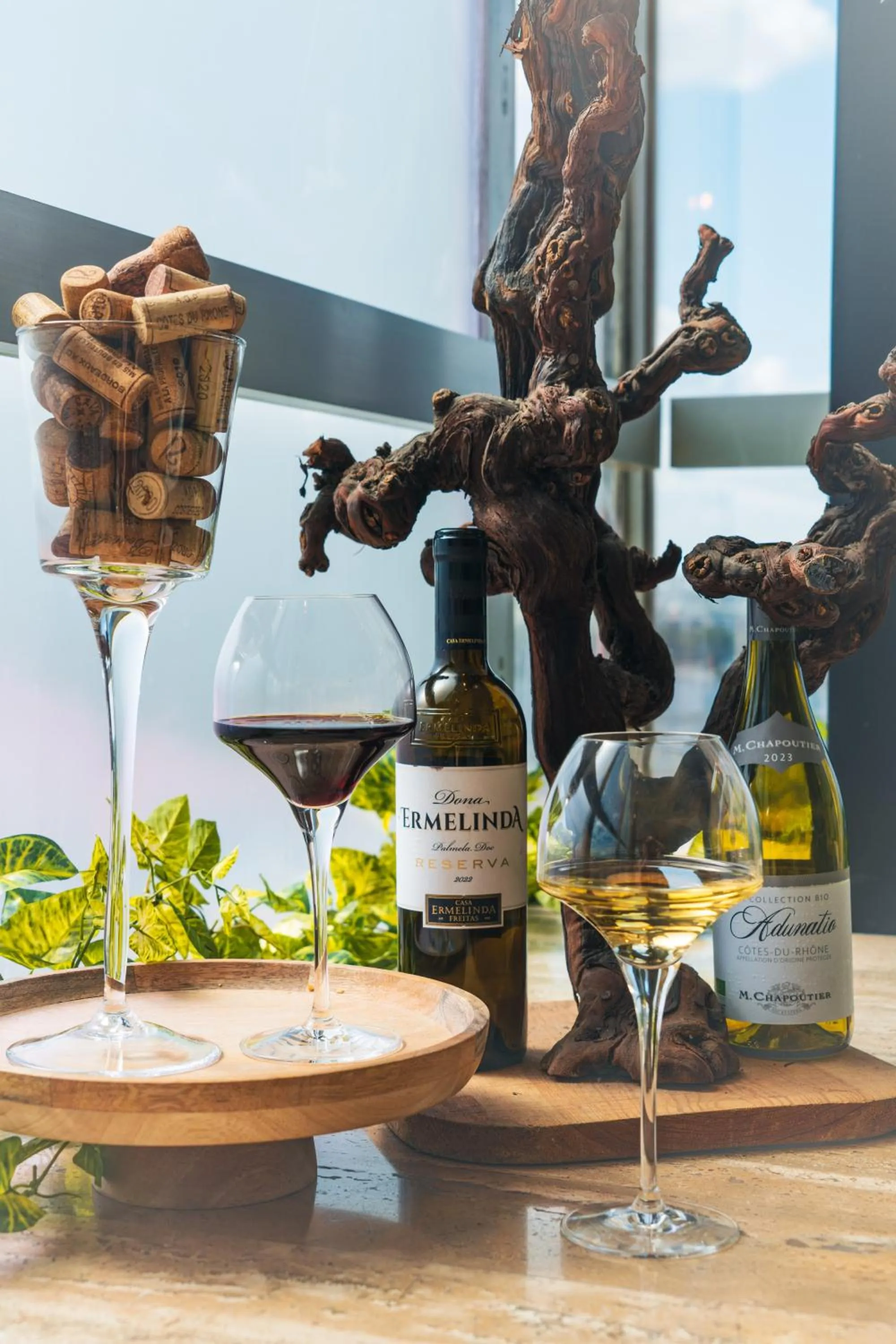 Restaurant/places to eat in Mercure Paris Orly Rungis Aéroport