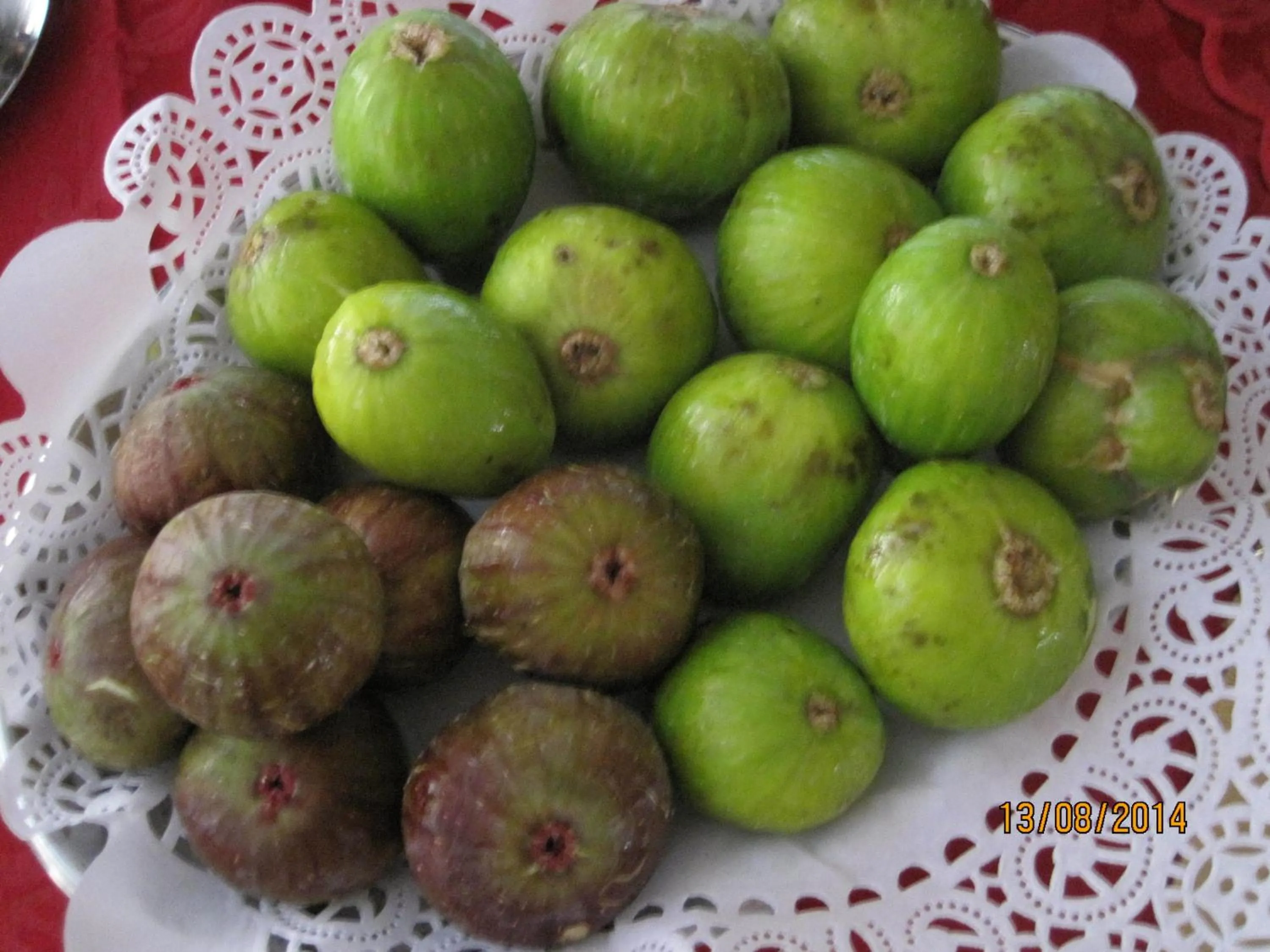 Restaurant/places to eat in Hotel Matilde