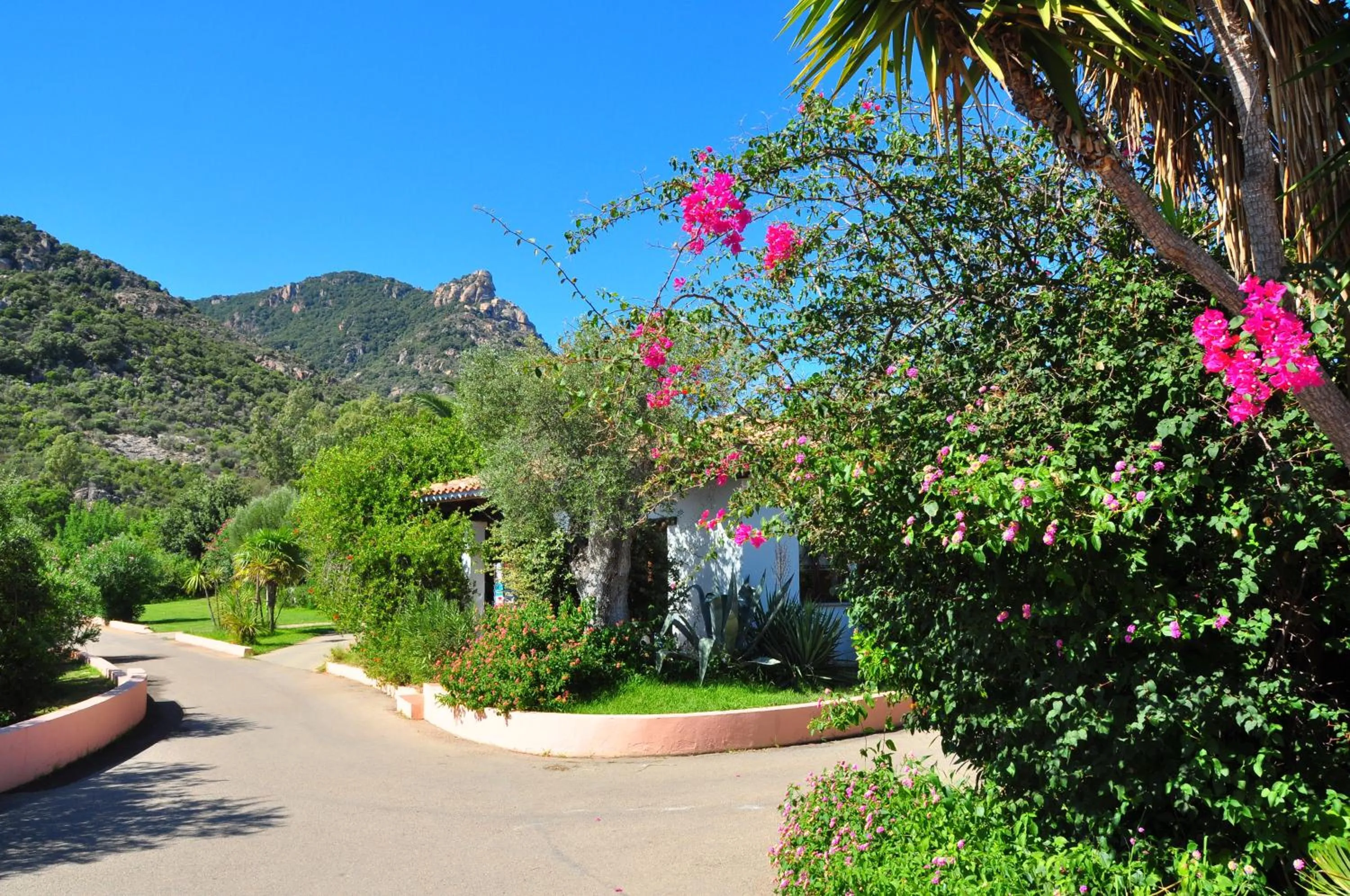 Garden in Perdepera Resort