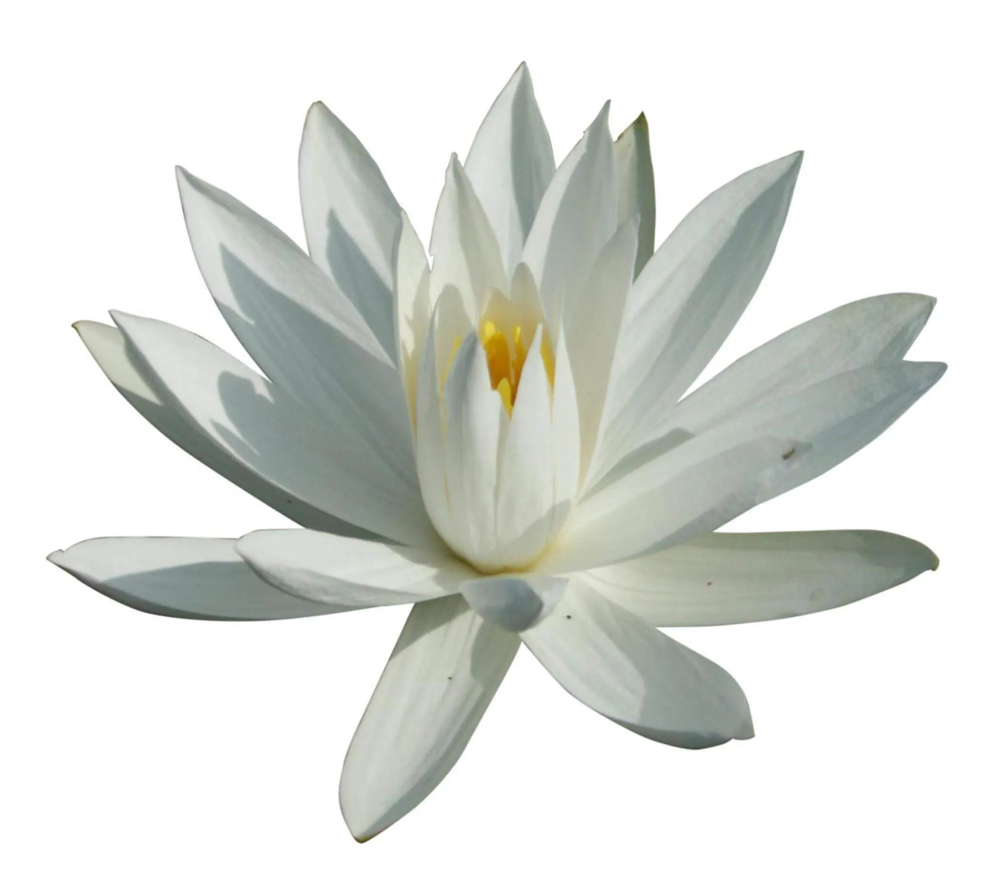 Property logo or sign in Alam Kita