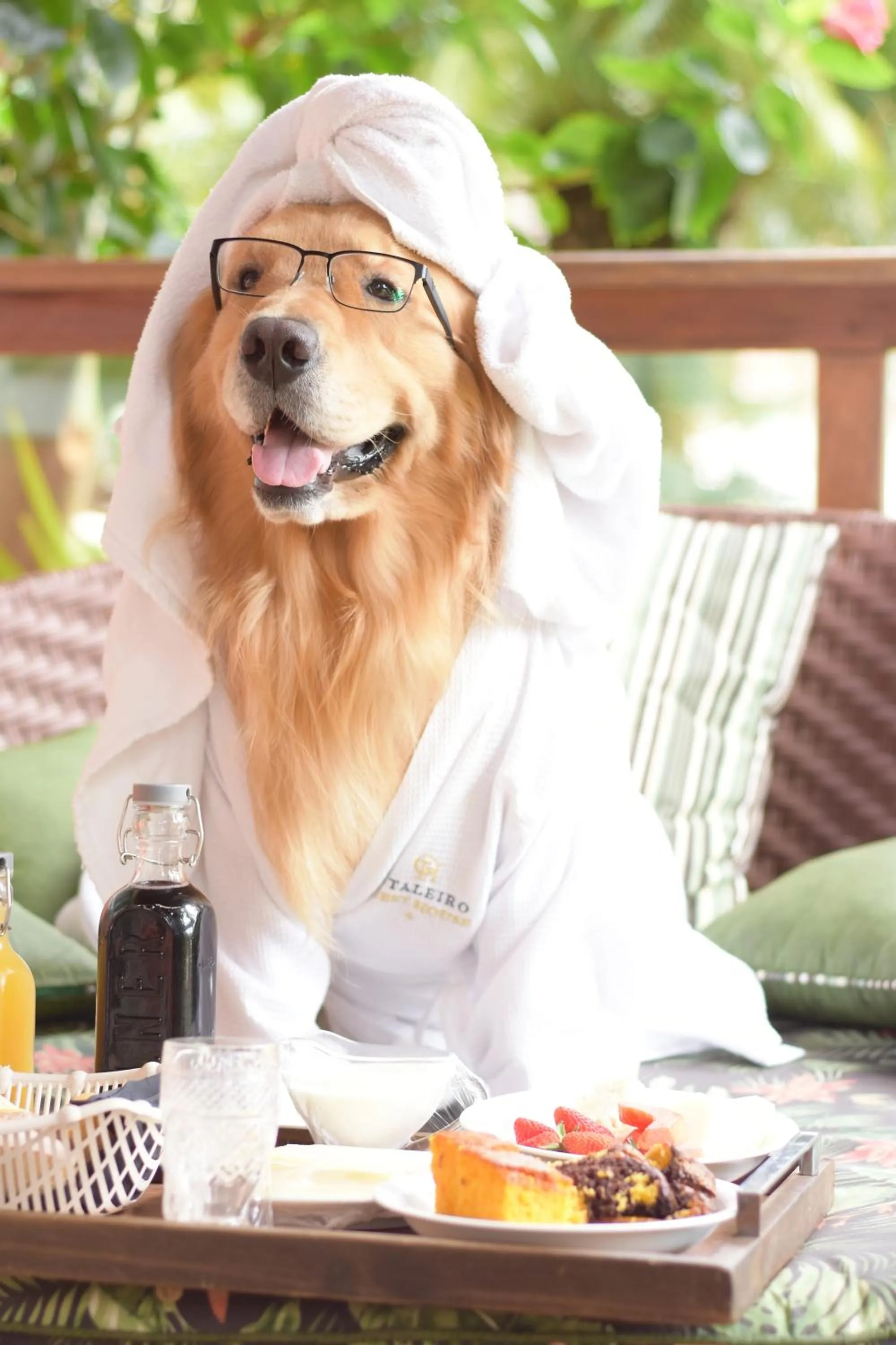 Estaleiro Guest House