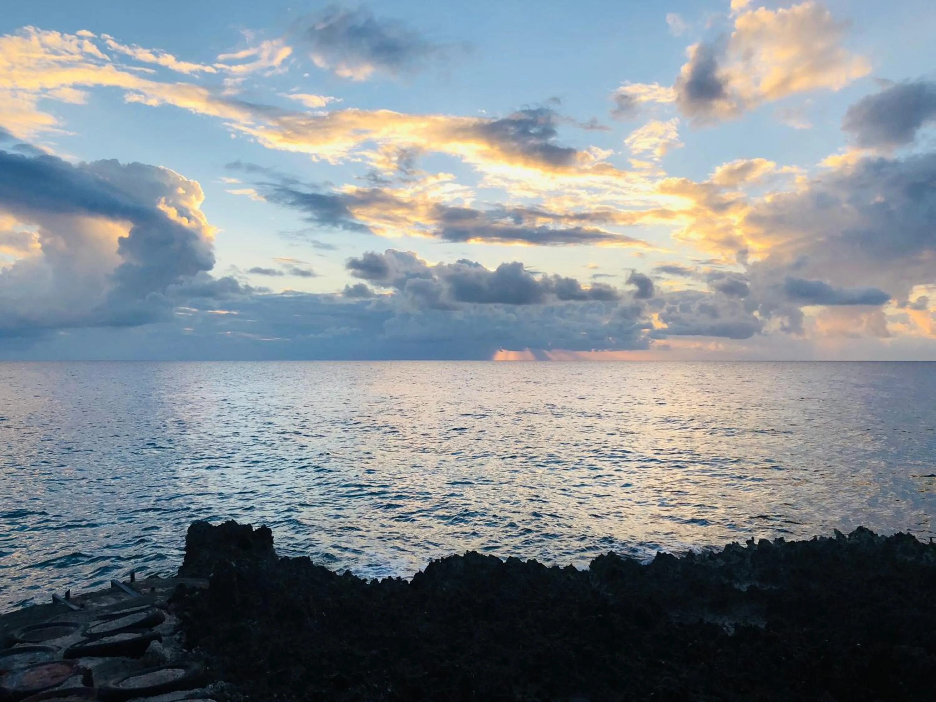 Natural landscape in Casa de las Flores tropical