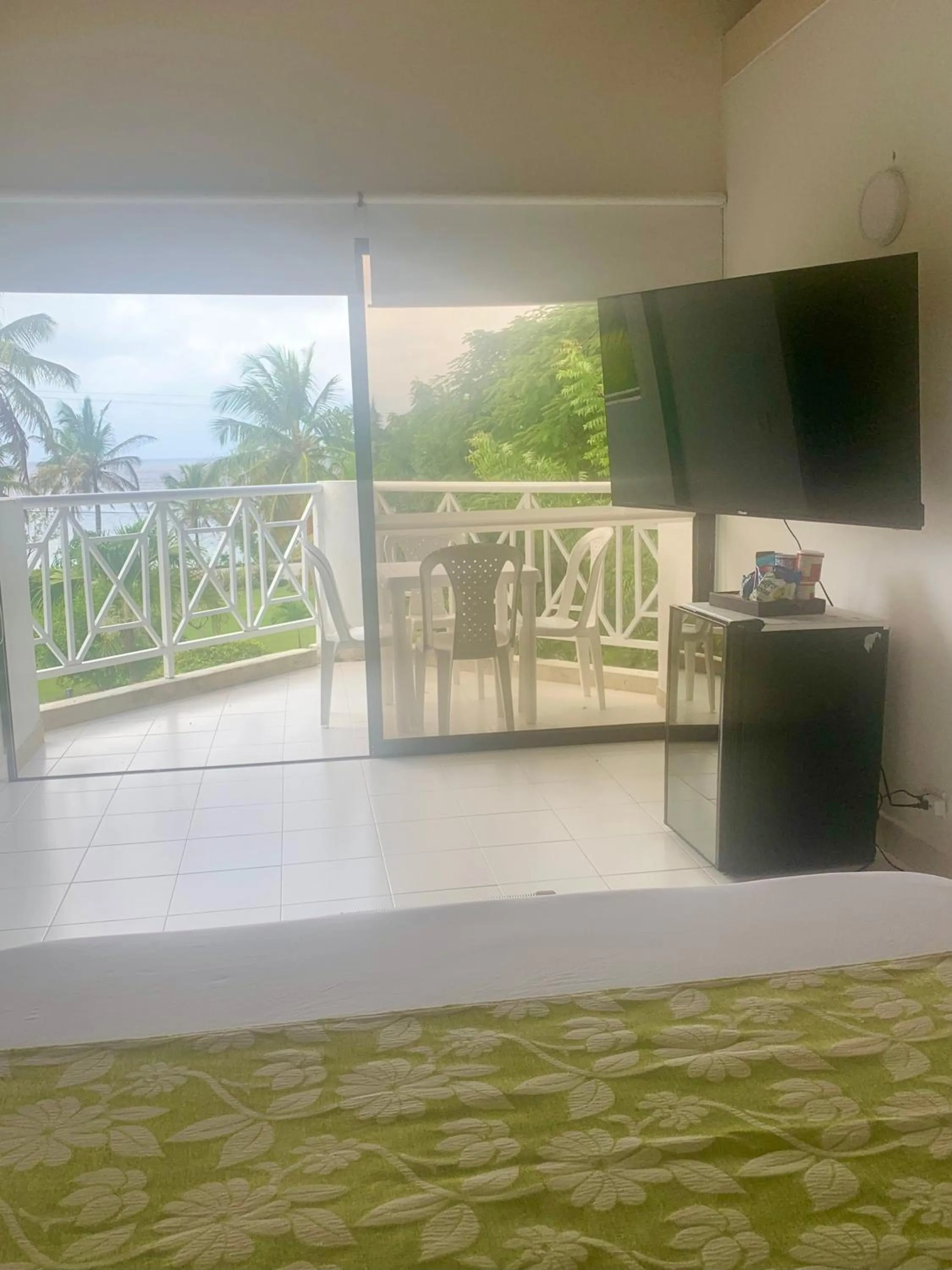 View (from property/room) in Casa de las Flores tropical