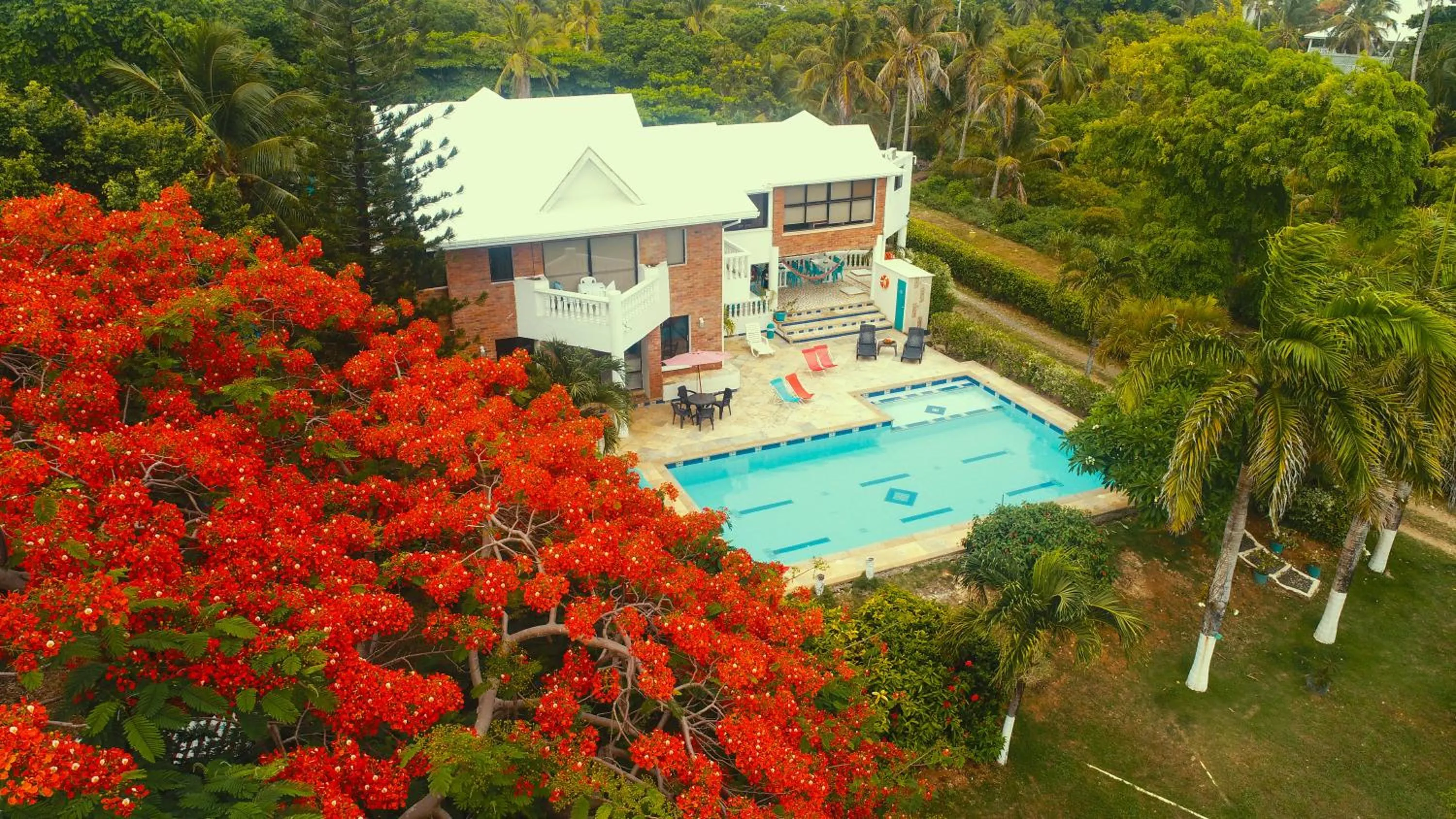 Balcony/Terrace in Casa de las Flores tropical