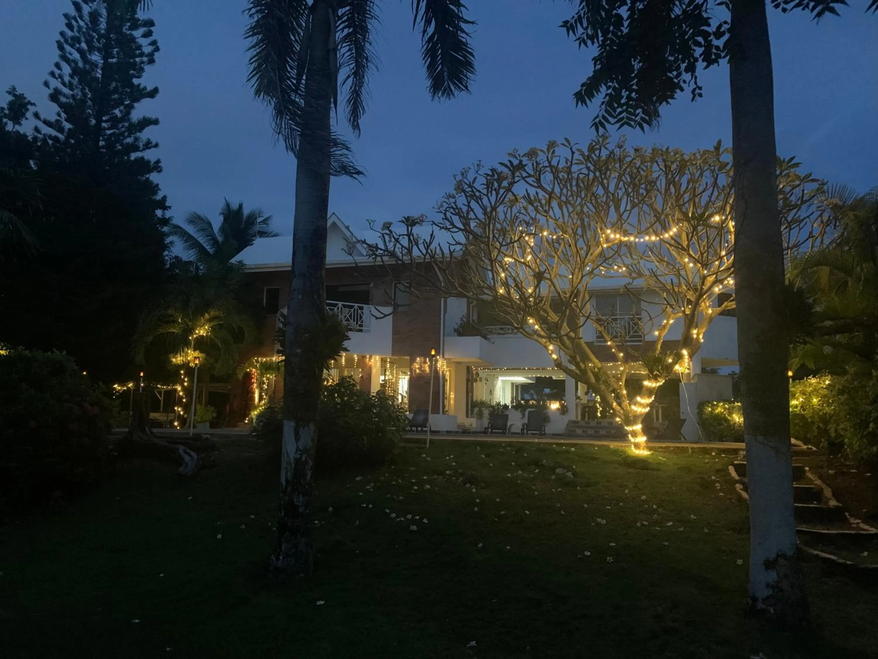 Night in Casa de las Flores tropical