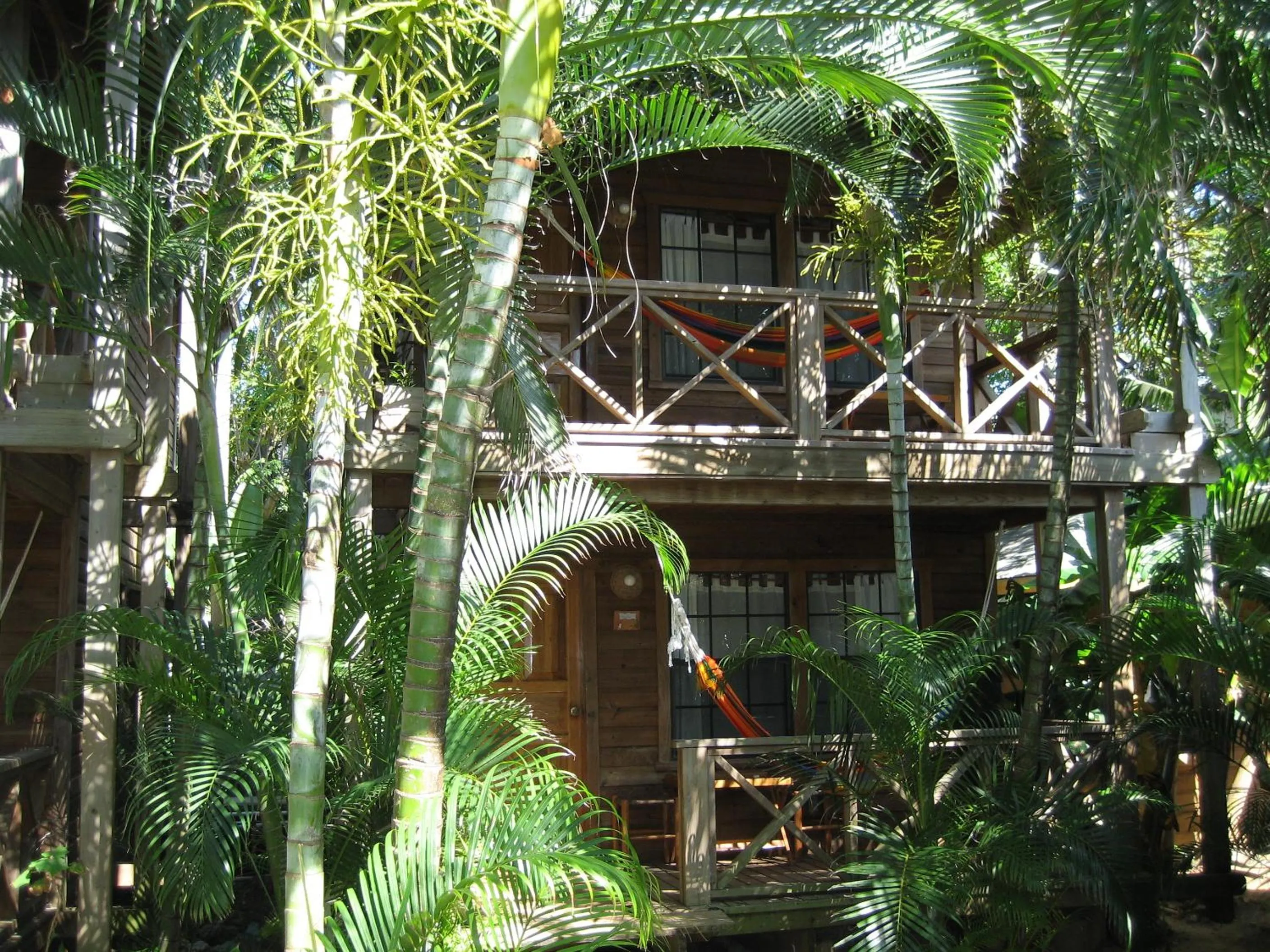 Facade/entrance in Las Rocas Resort and Dive Center