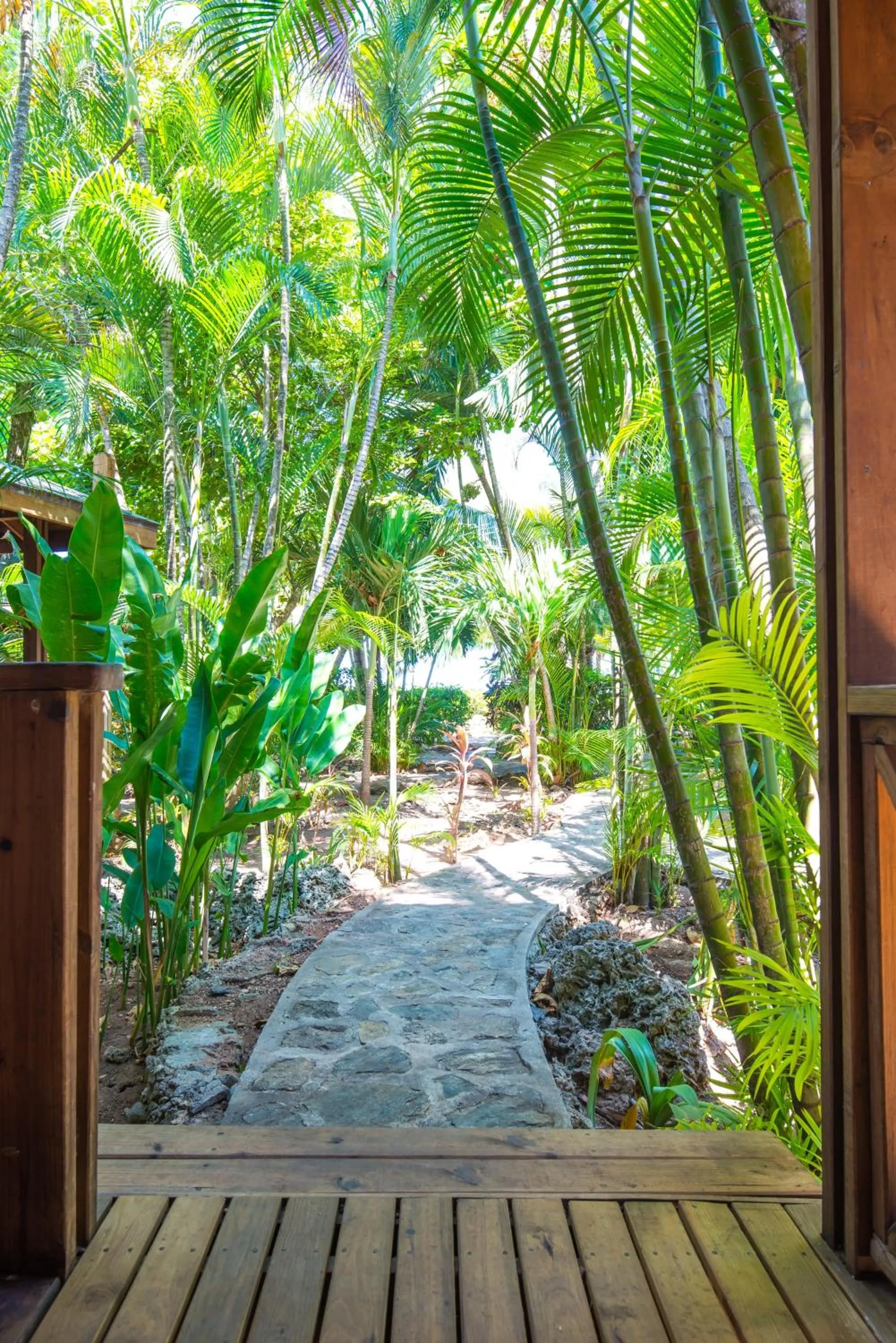 Garden view in Las Rocas Resort and Dive Center