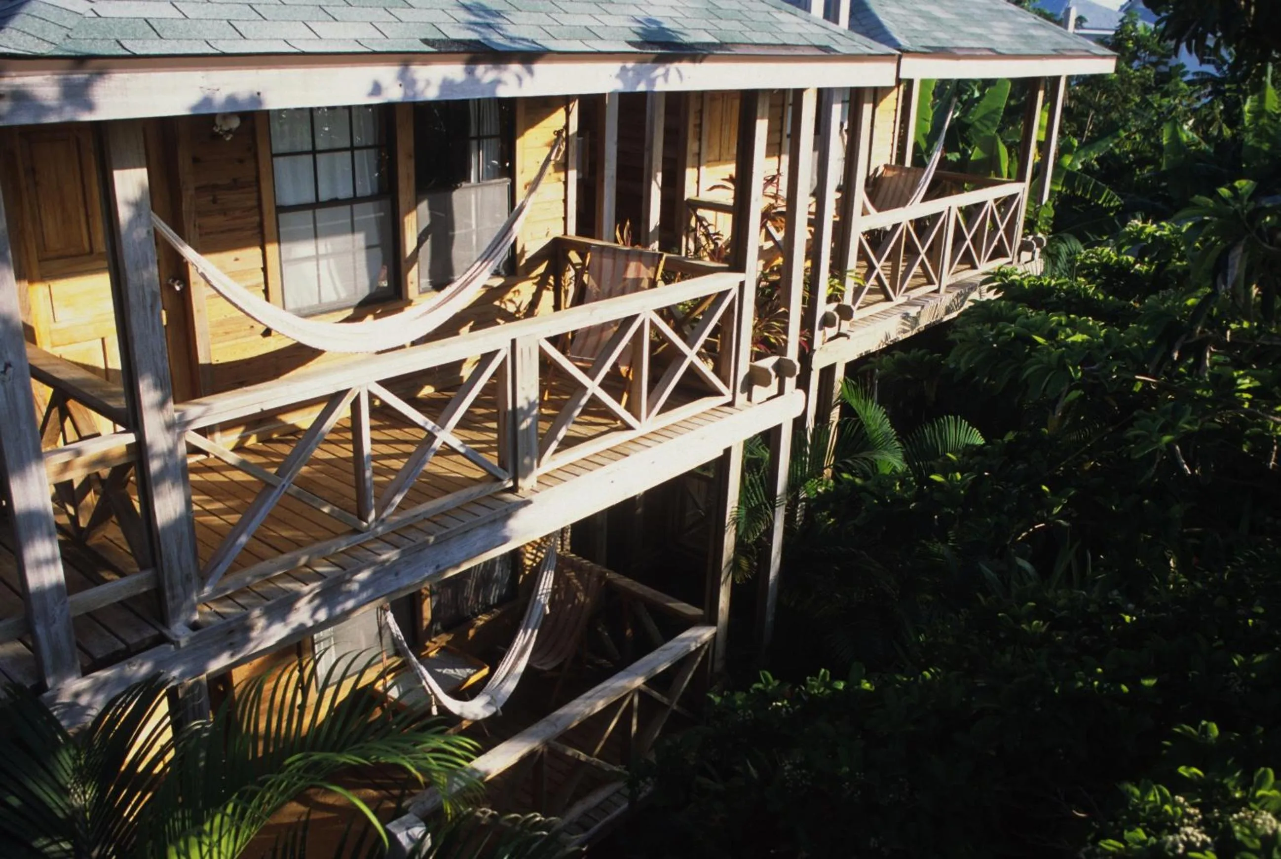 Day in Las Rocas Resort and Dive Center