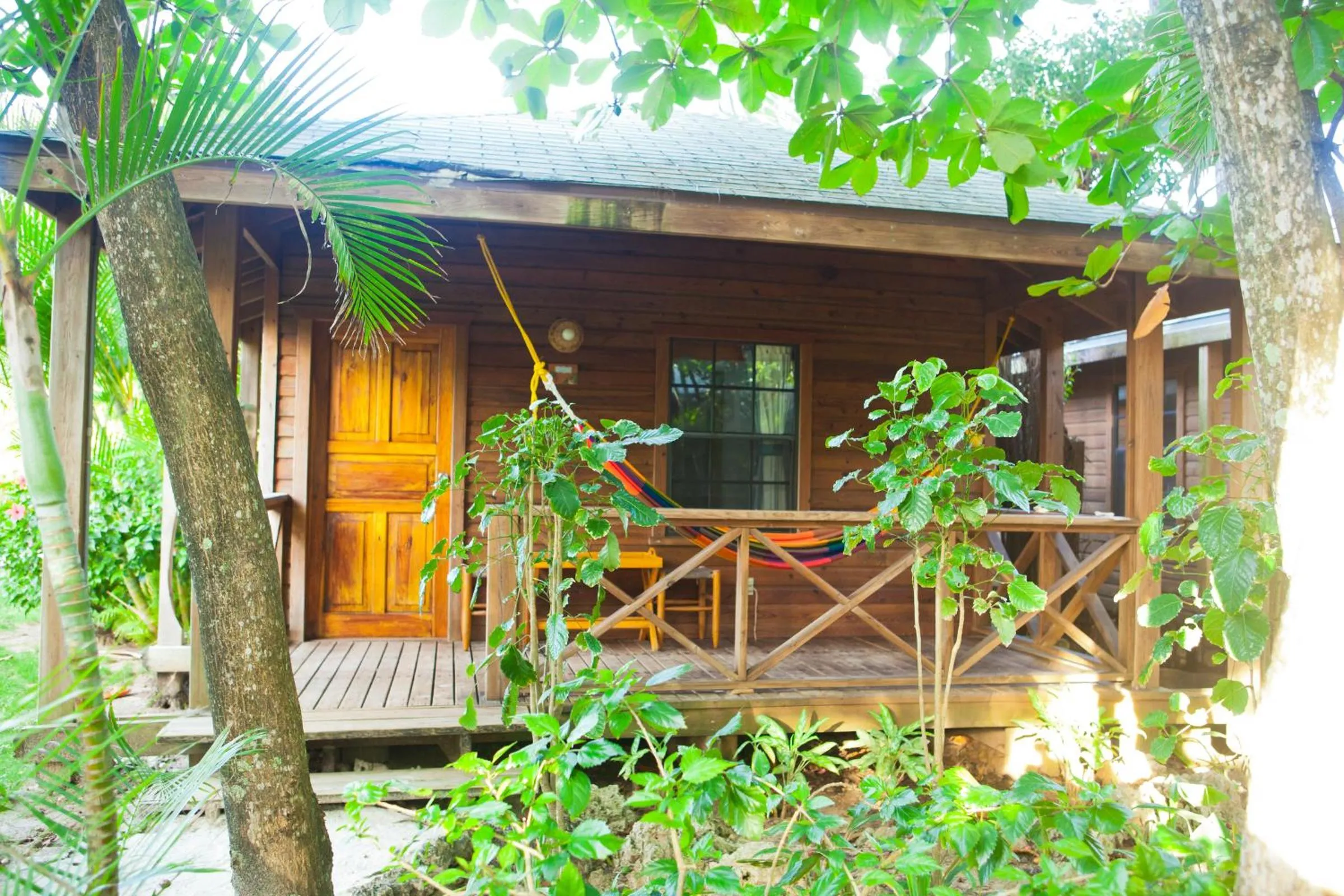 Patio in Las Rocas Resort and Dive Center