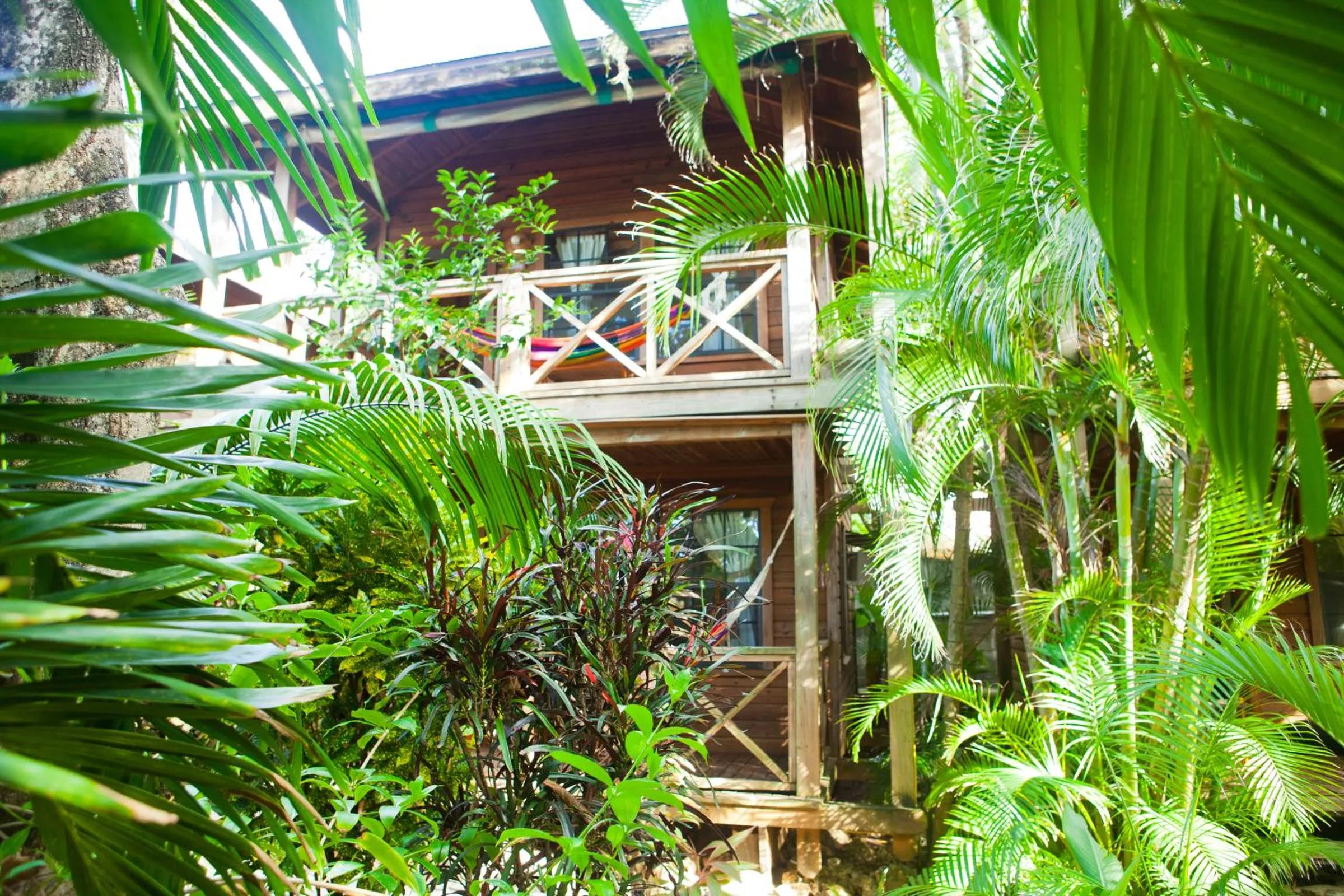 Day in Las Rocas Resort and Dive Center