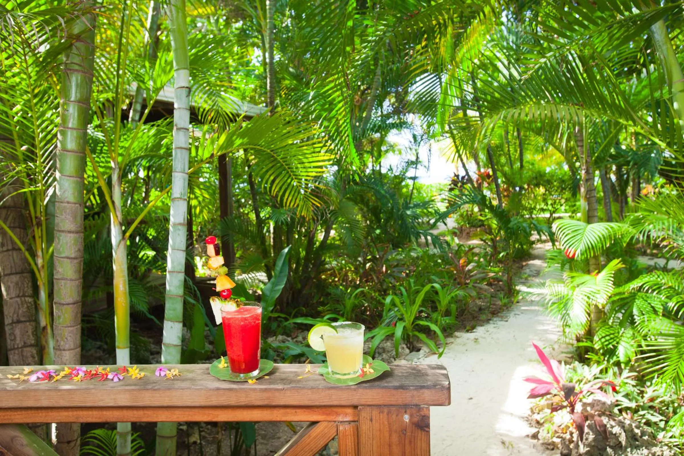 Day in Las Rocas Resort and Dive Center