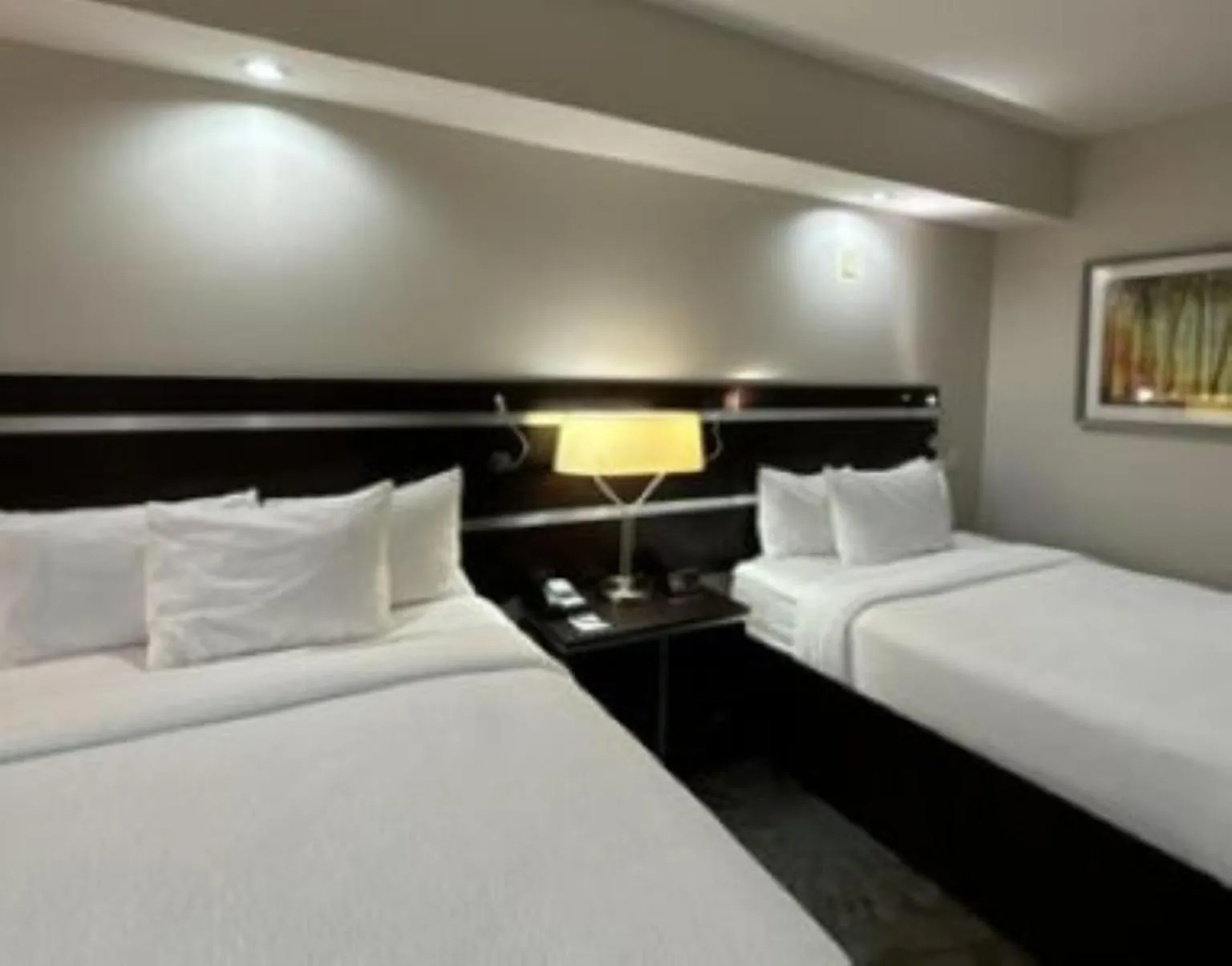 Bedroom, Bed in Fairfield Inn and Suites by Marriott North Spring