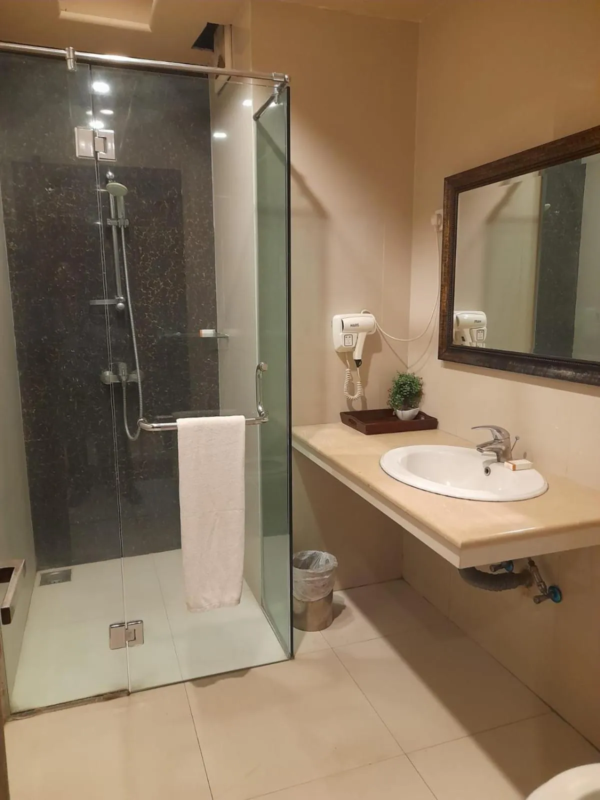 Bathroom in Grand Regent Hotel and Suites