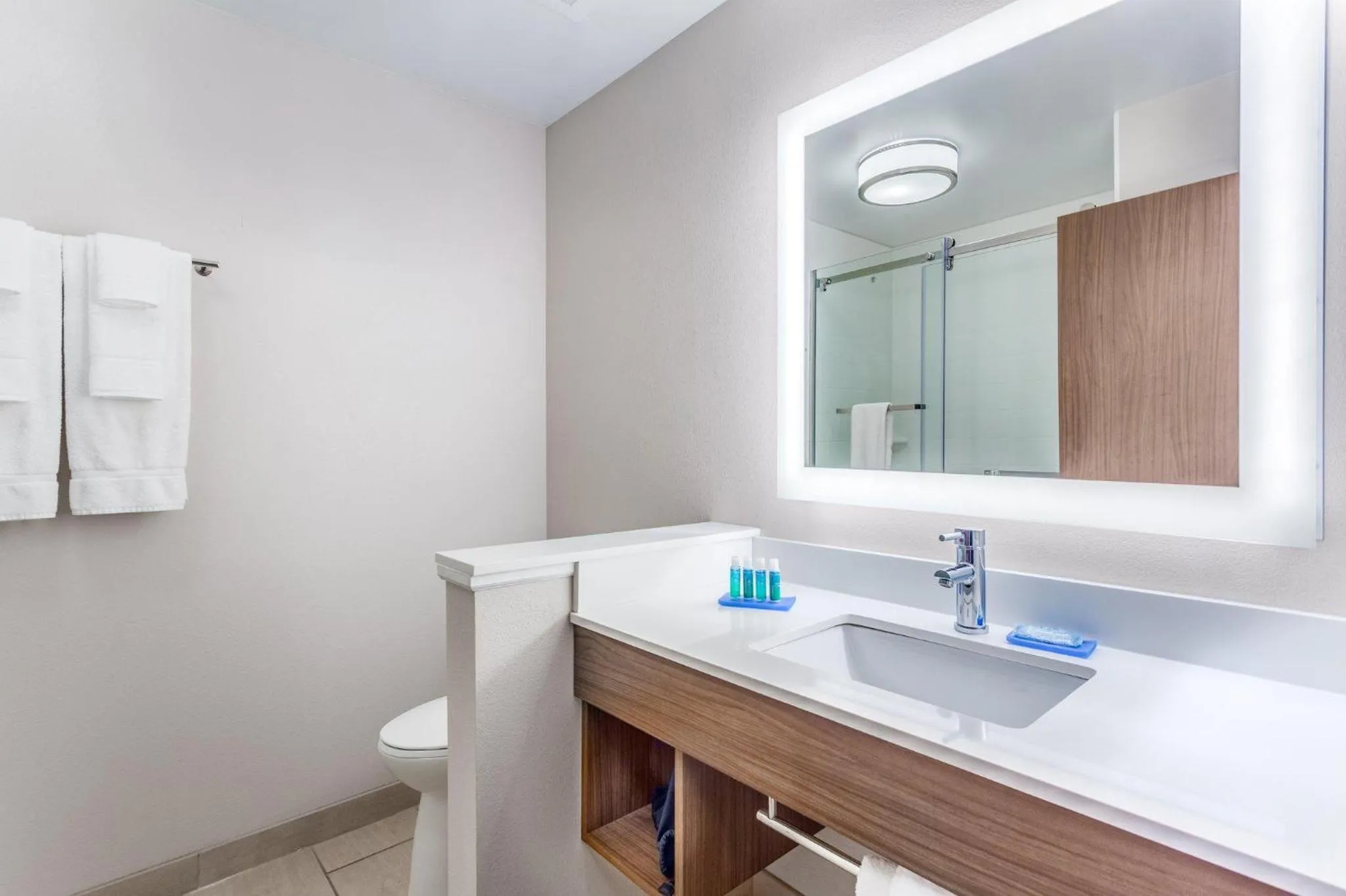 Bathroom in Holiday Inn Express & Suites - Nashville MetroCenter Downtown by IHG