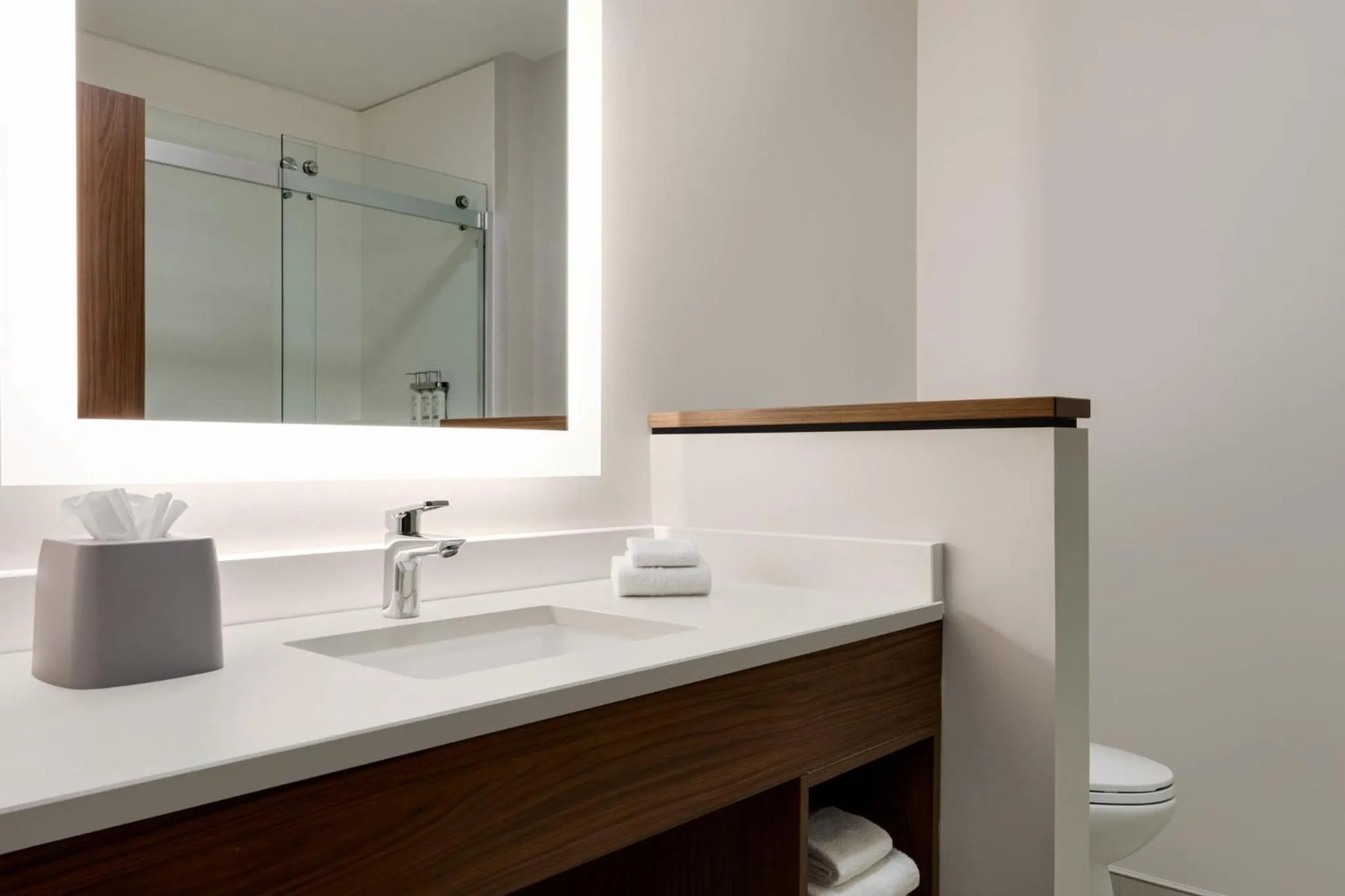 Bathroom in Holiday Inn Express & Suites - Dalton - Walnut Ave by IHG