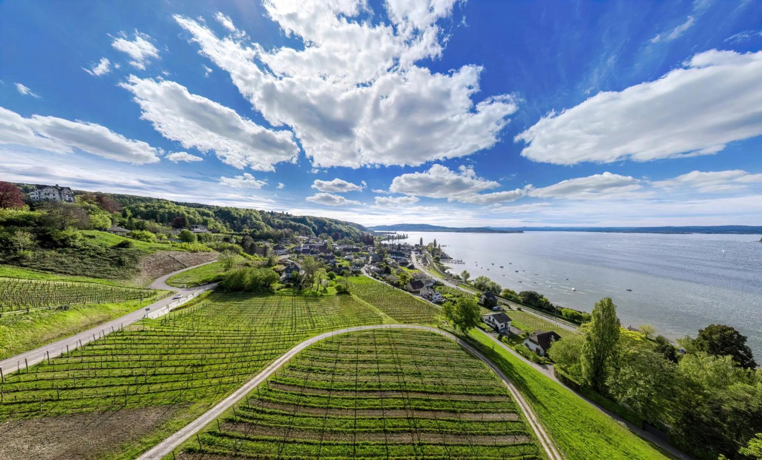 Lake view in Hotel Arenenberg