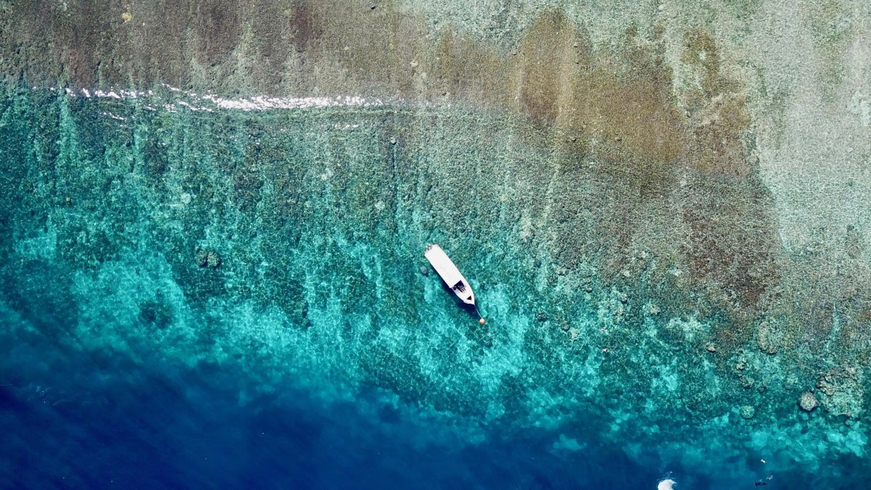 Bird's eye view in Dream Divers Resort