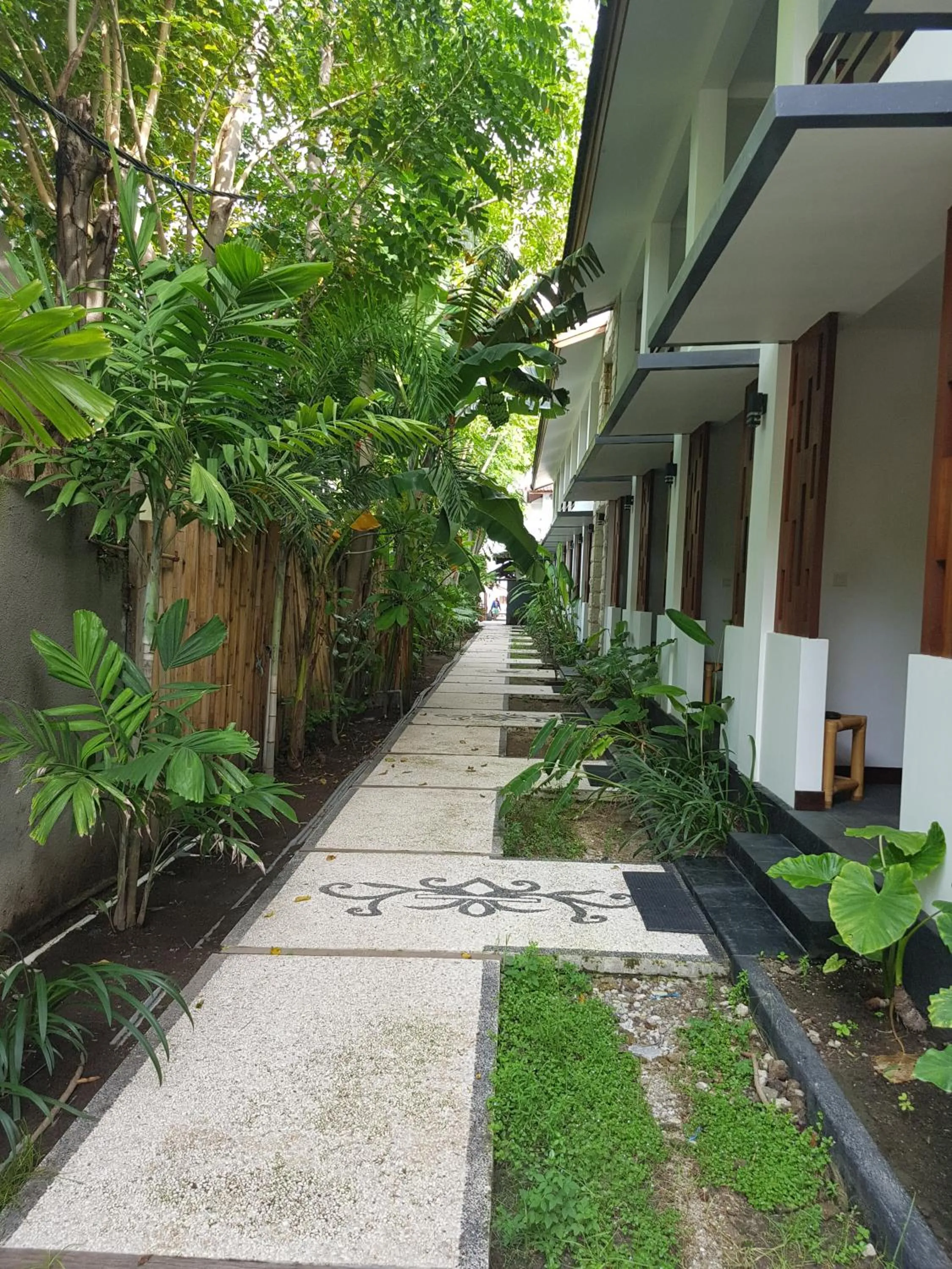 Garden in Dream Divers Resort