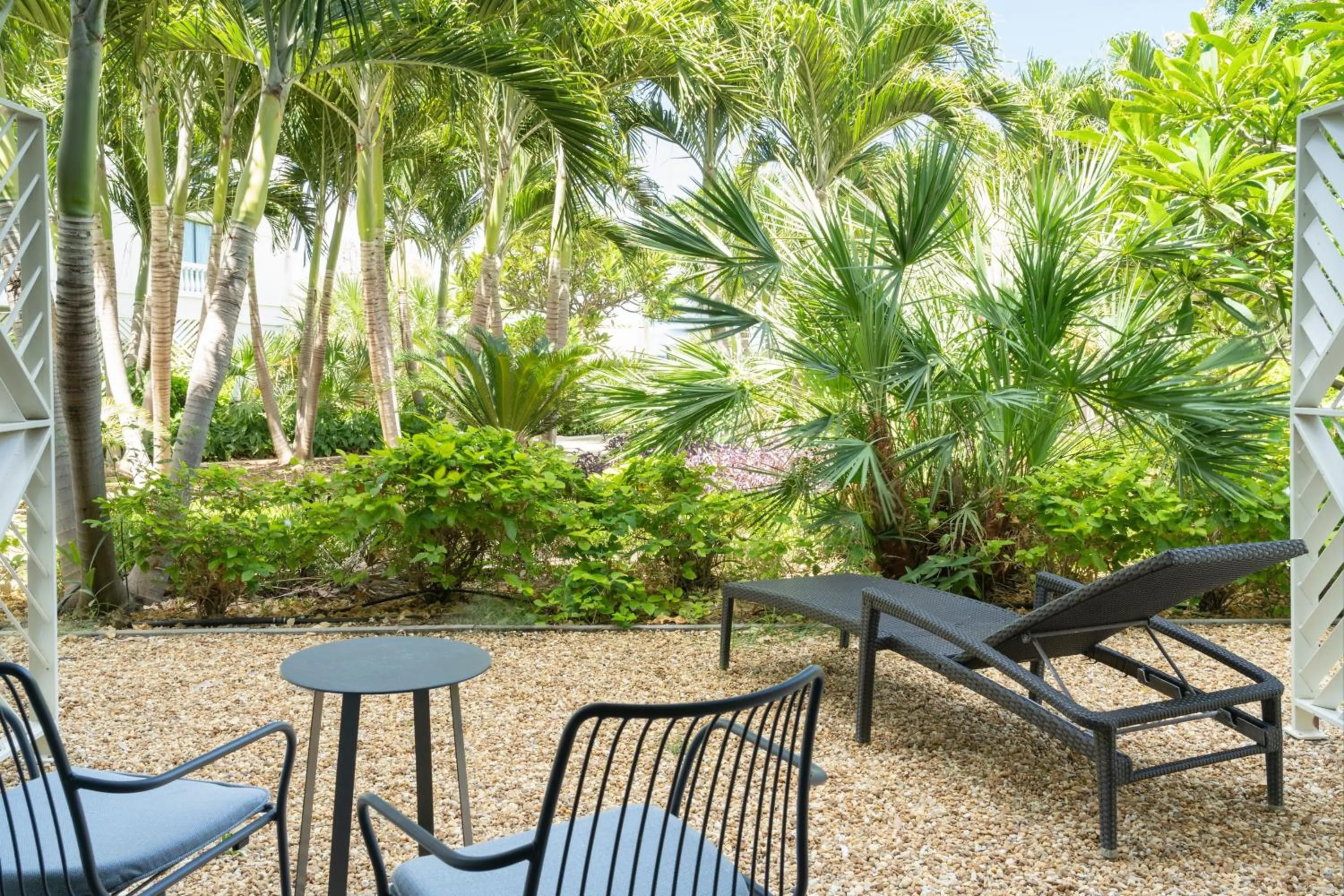 Photo of the whole room in Curaçao Marriott Beach Resort