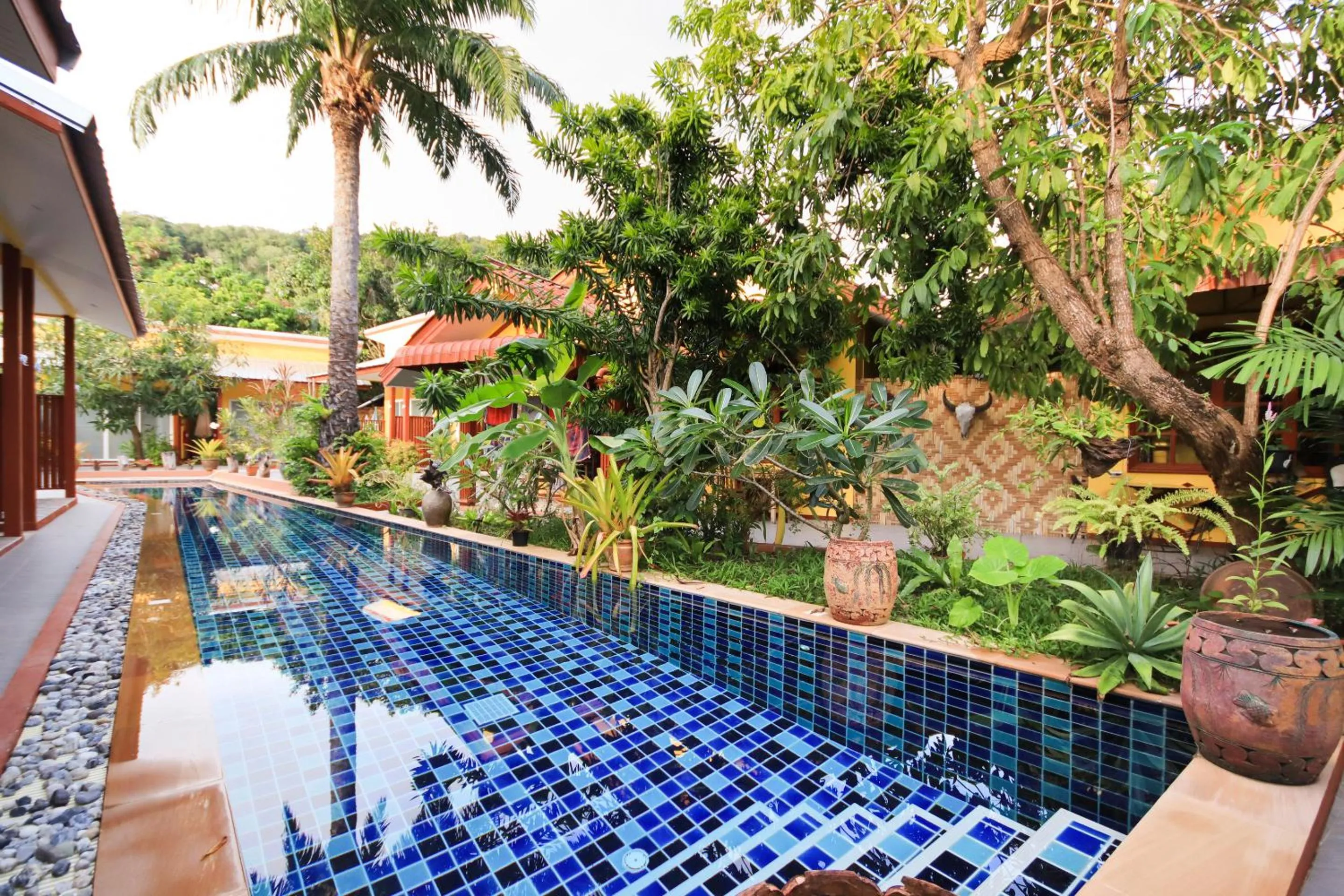 Swimming pool in Ban Elephant Blanc Bungalow