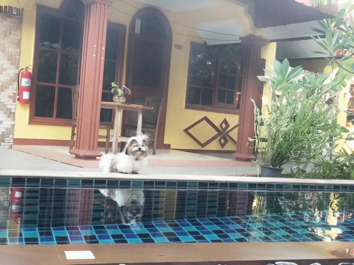 Pool view in Ban Elephant Blanc Bungalow