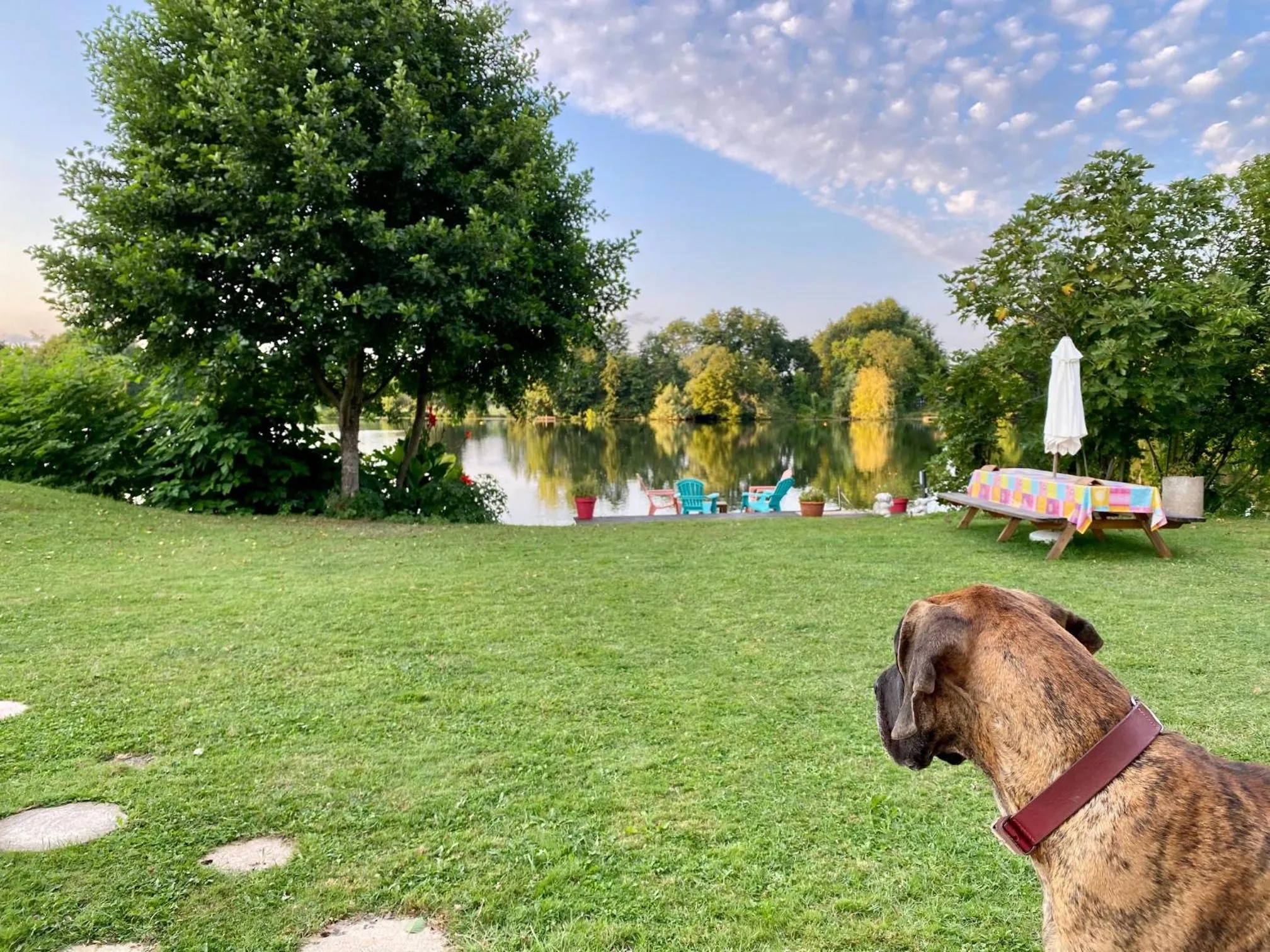 Garden in Chez Jan et Nicole - Gite Toulouse