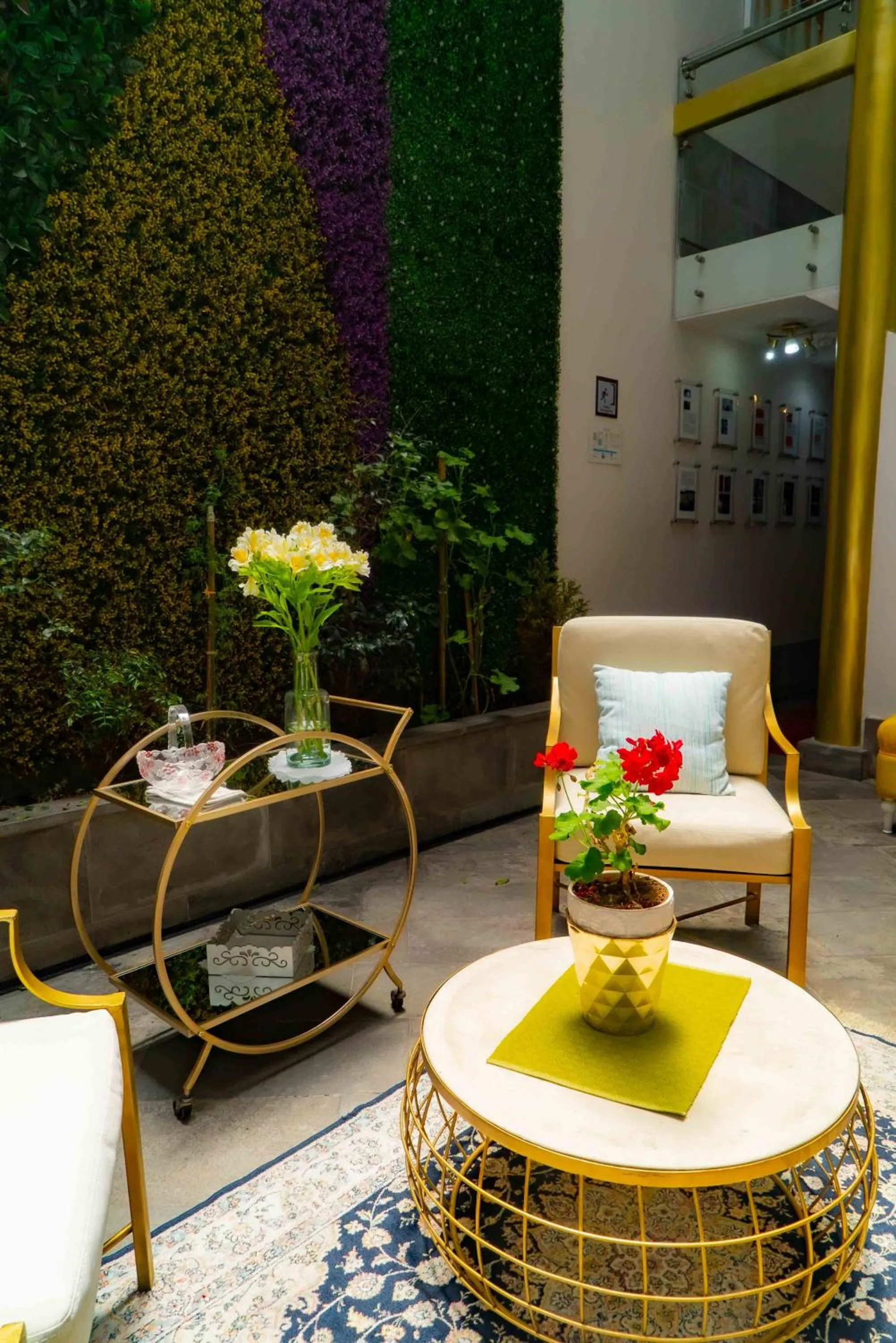 Garden in Adamas House Hotel Boutique