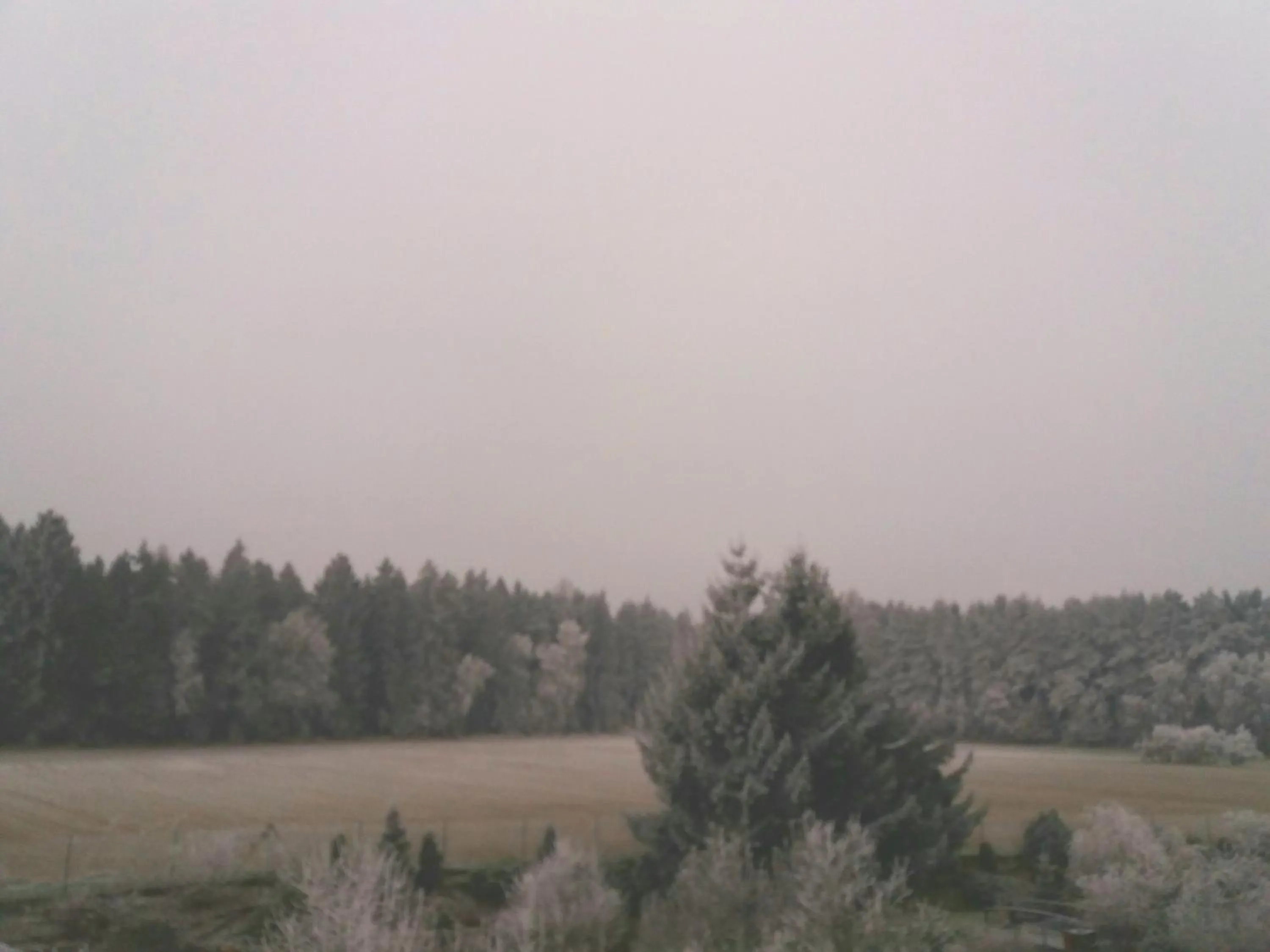 Fishing in Apartmány Sedmikráska