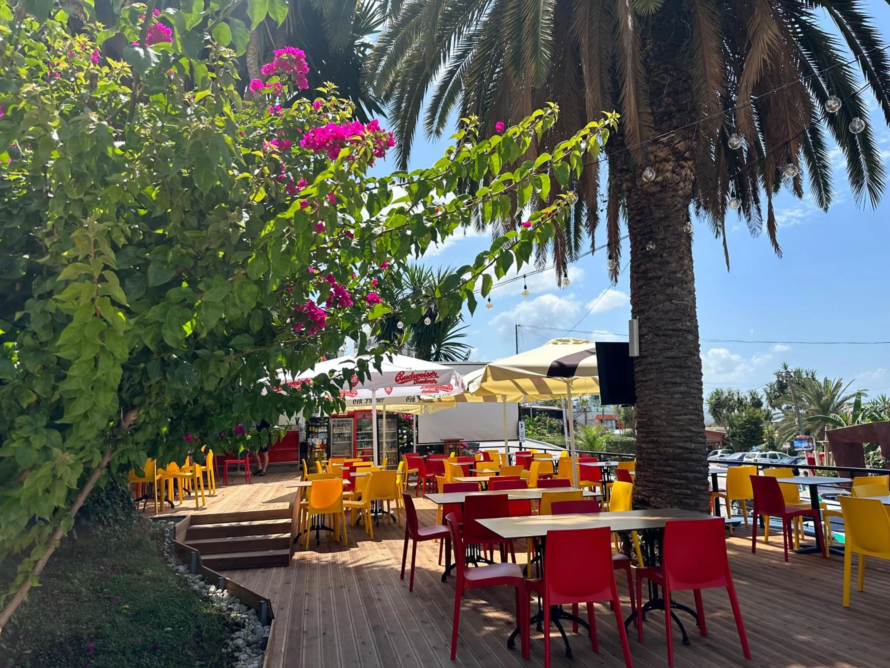 Restaurant/places to eat in Vila Duraku