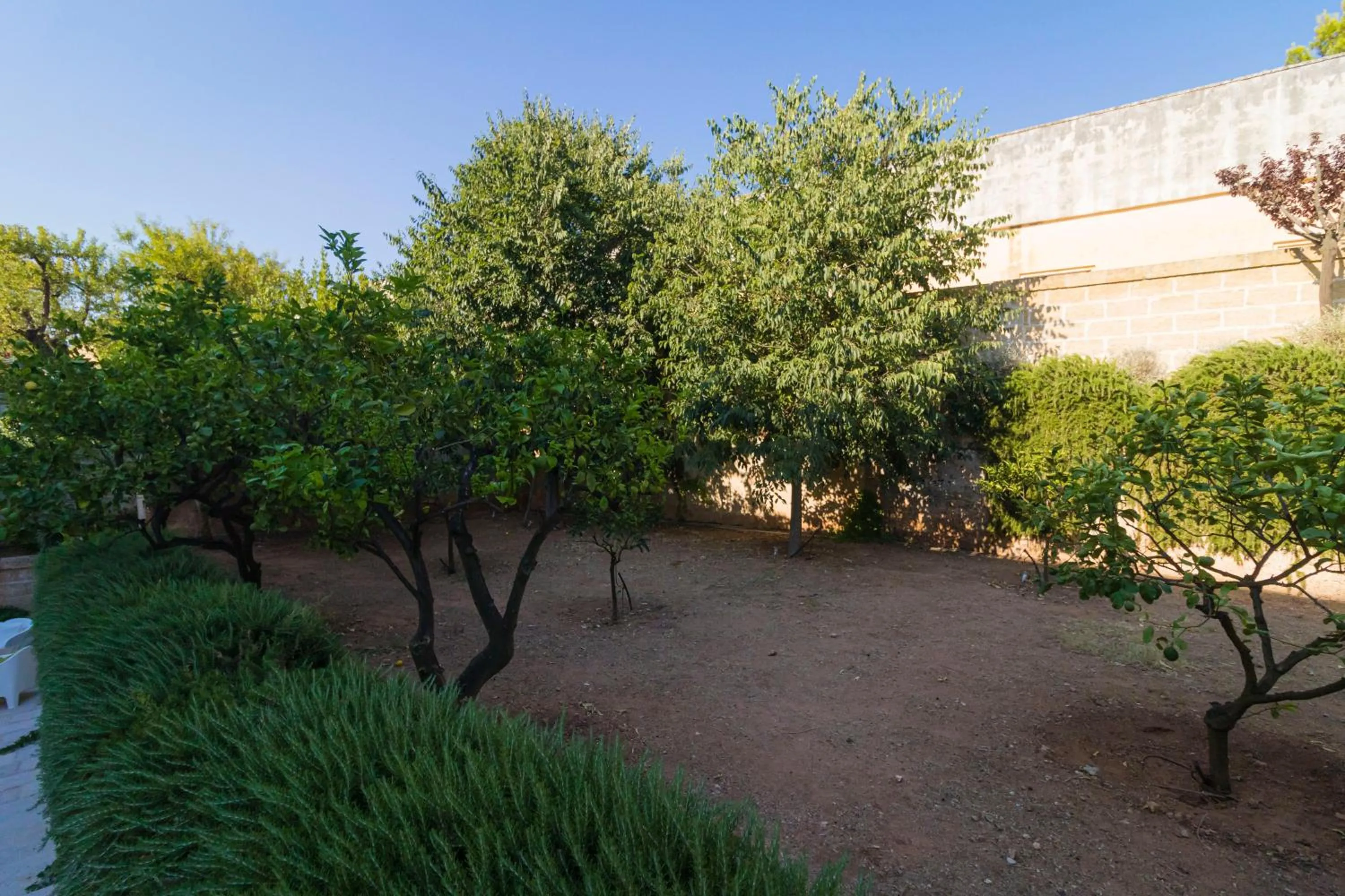 Garden in Villa Romasi